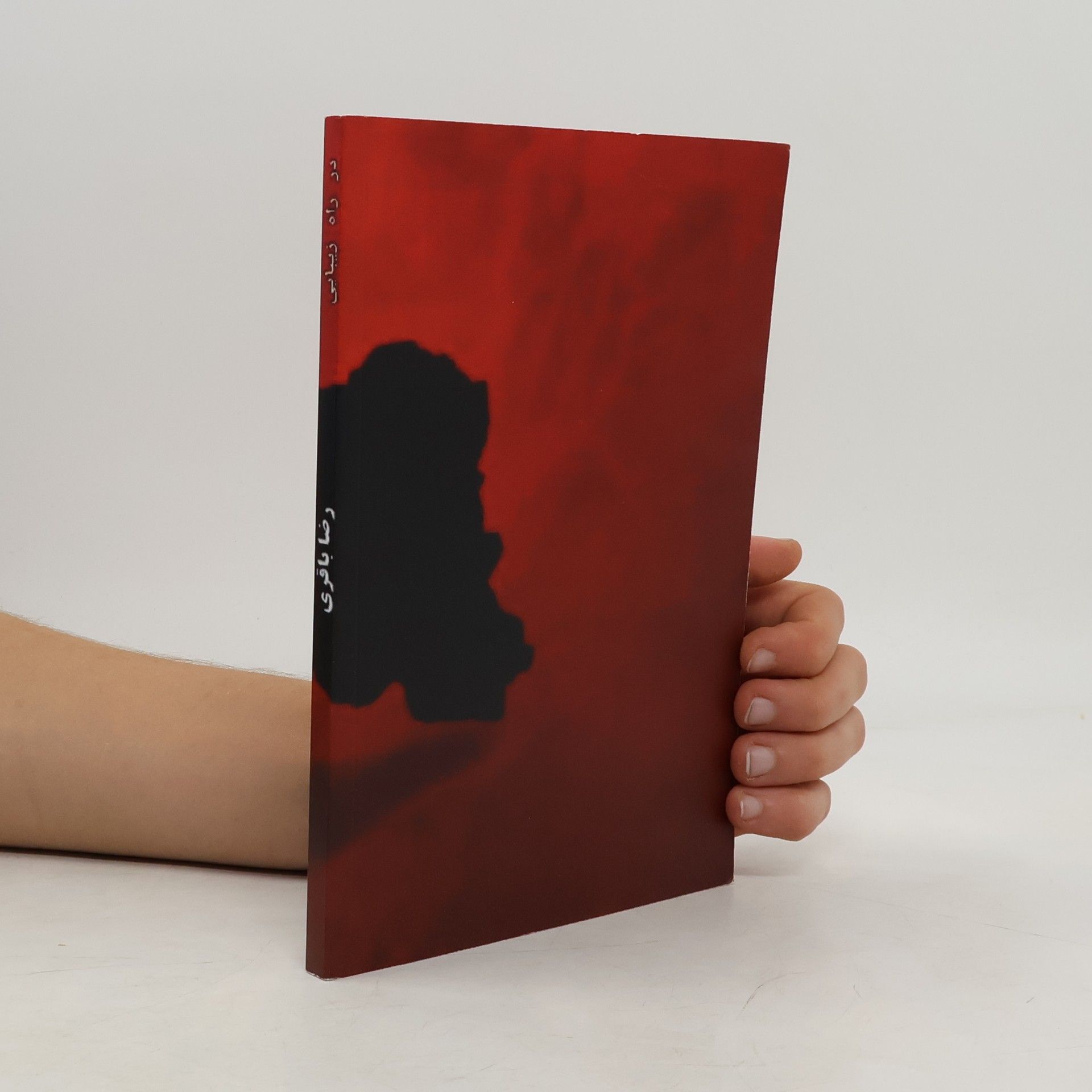 Reza Bagheri In The Way of Beauty. در راه زیبایی