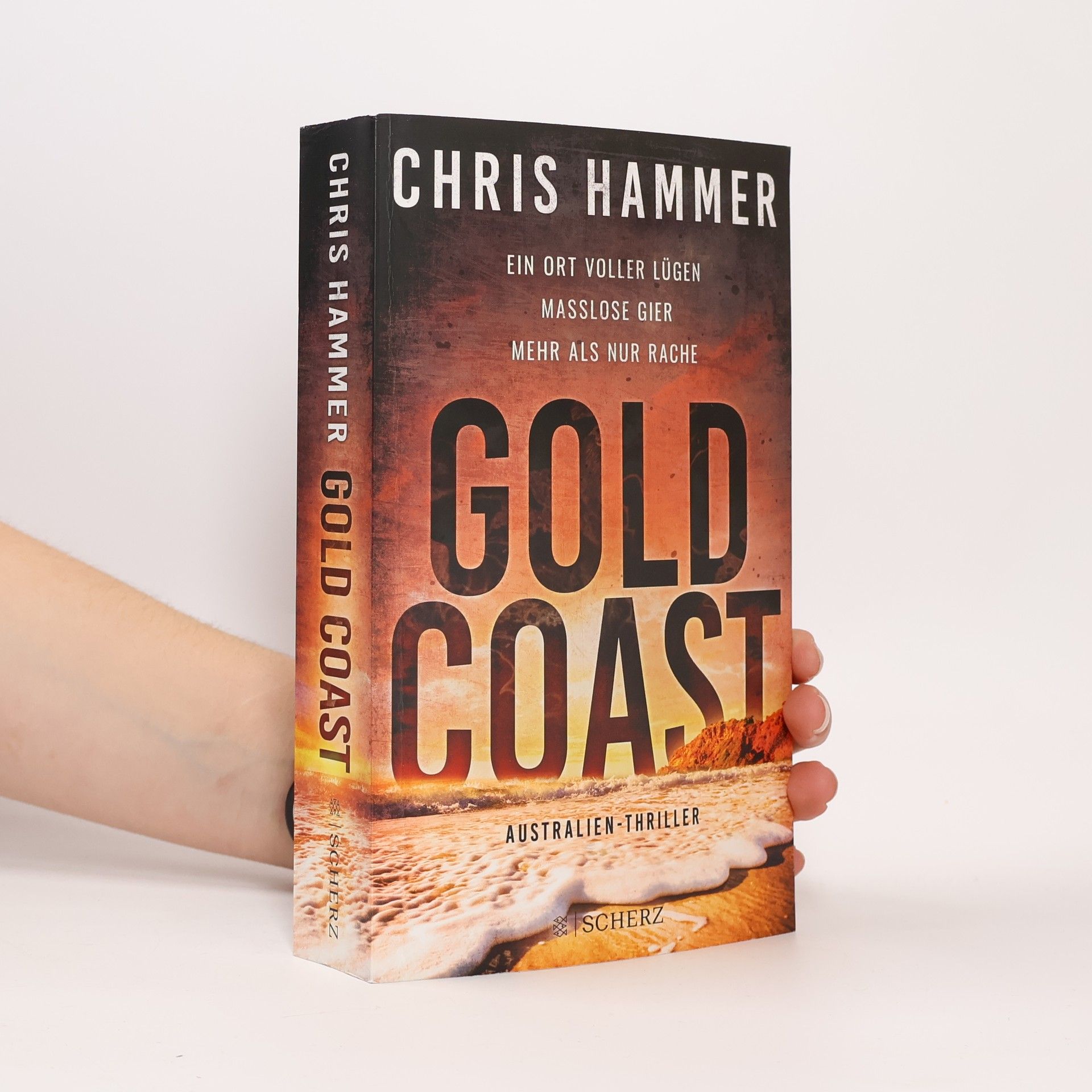 Chris Hammer Gold Coast - Ein Ort voller Lügen. Maßlose Gier. Mehr als nur Rache
