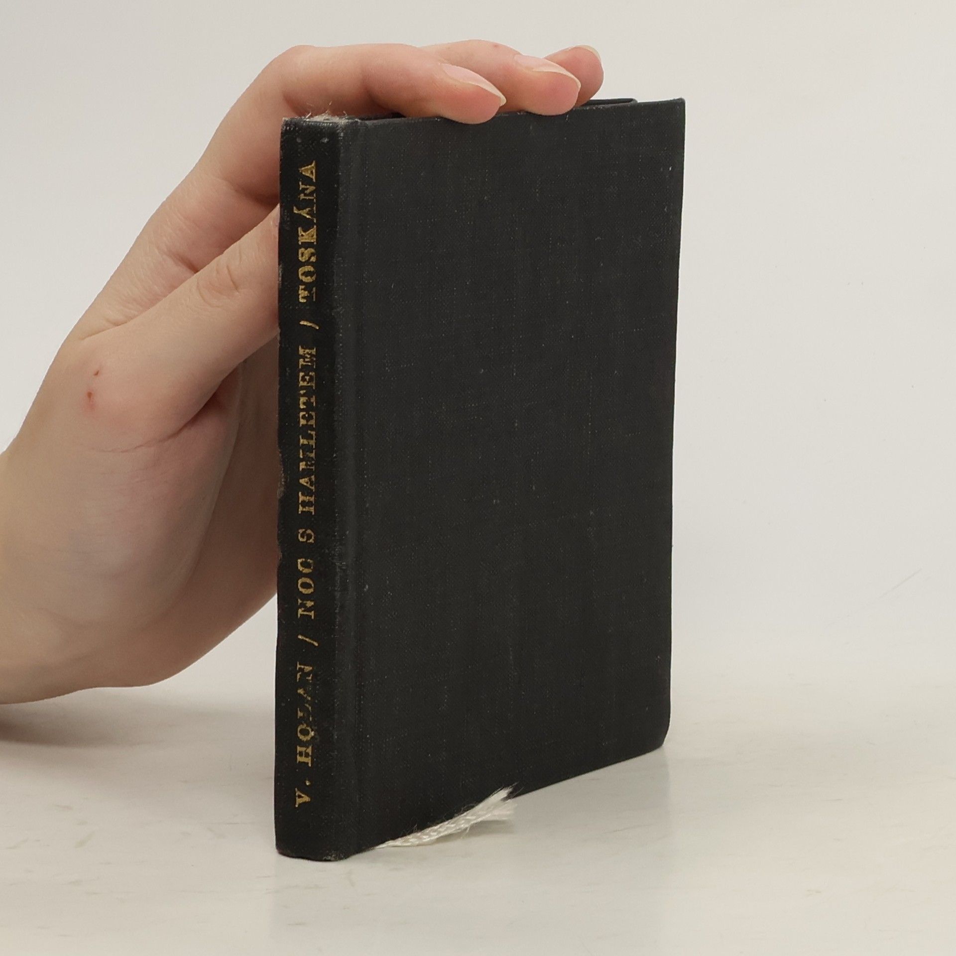 Vladimír Holan Noc s Hamletem. Toskána