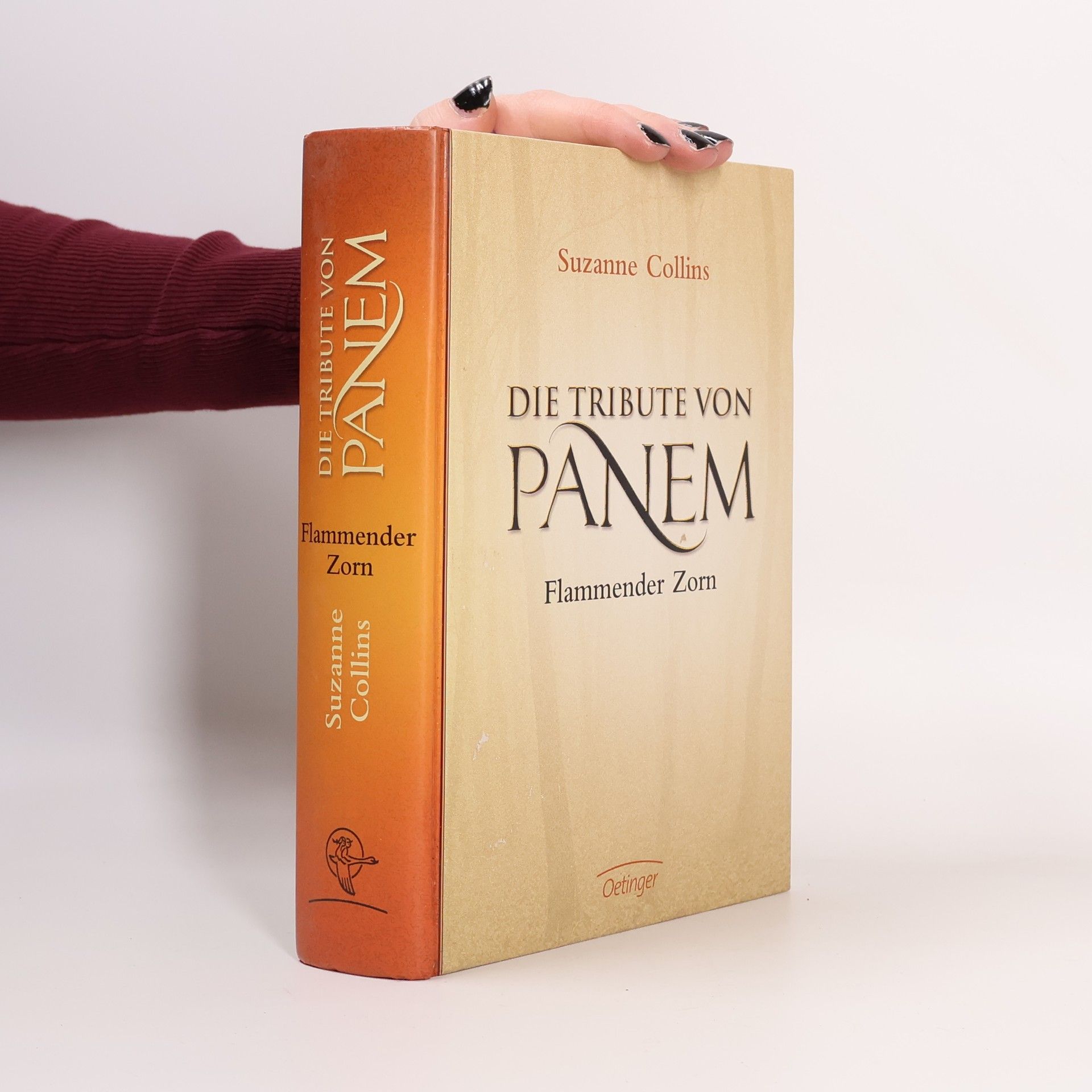 Die Tribute vom panem. Flammender Zorn