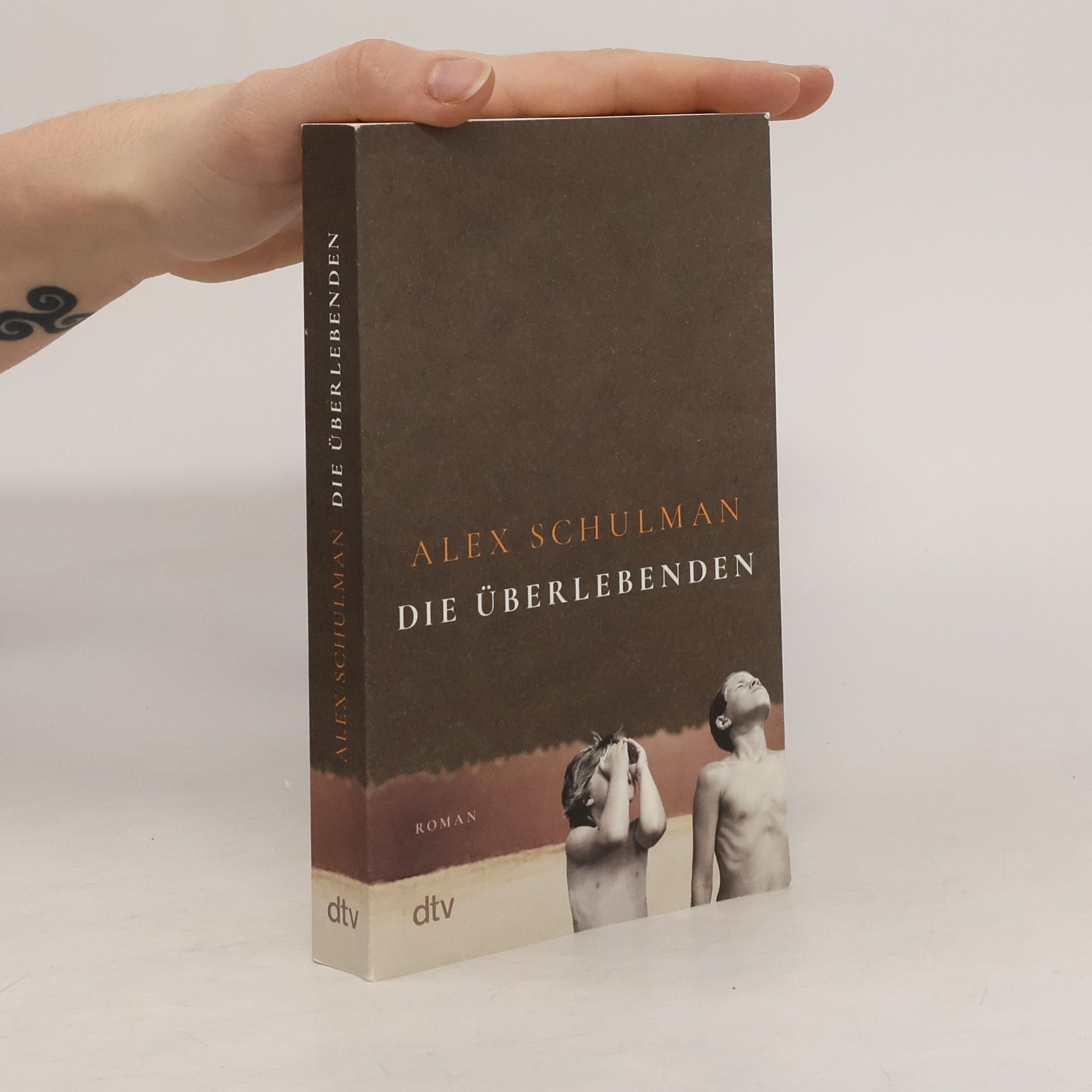 Alex Schulman Die Überlebenden