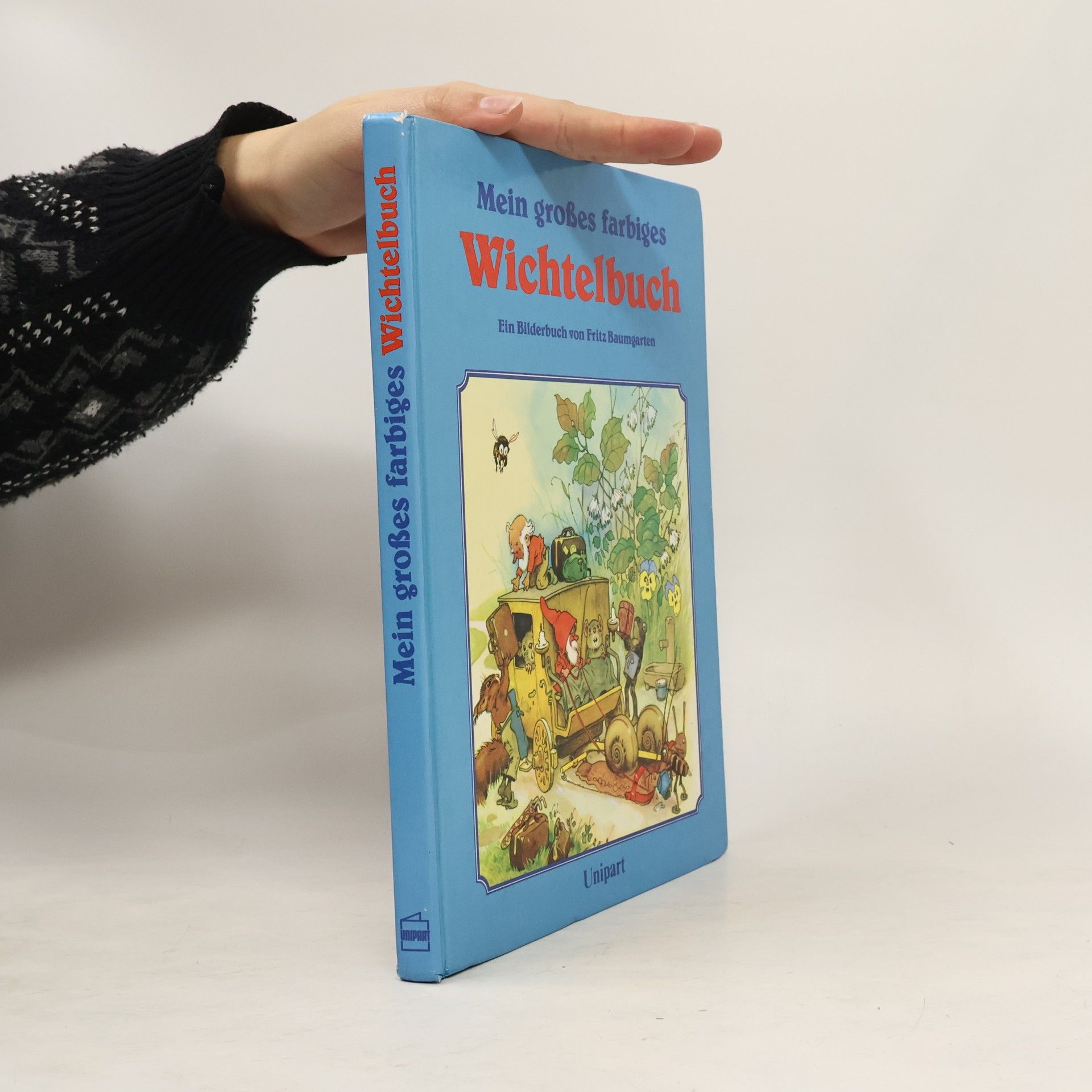 Autorenkollektiv Mein grosses farbiges Wichtelbuch