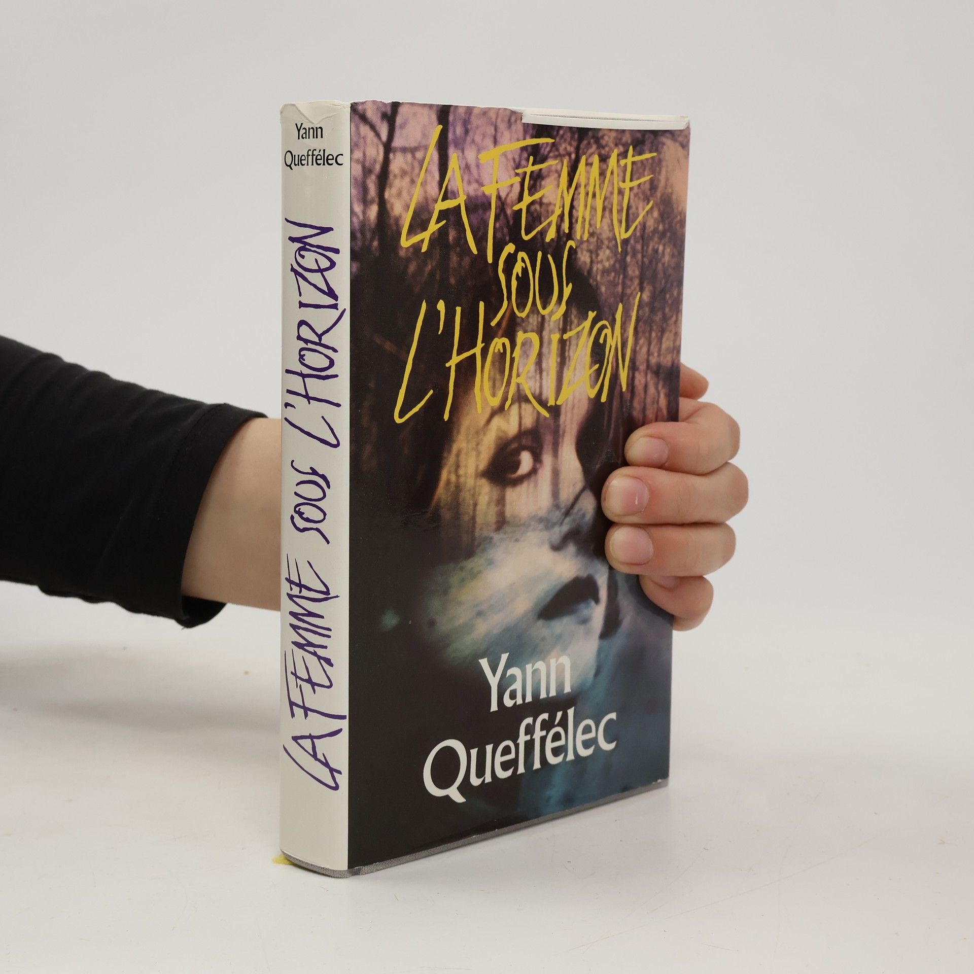 Yann Queffélec La Femme sous l'horizon