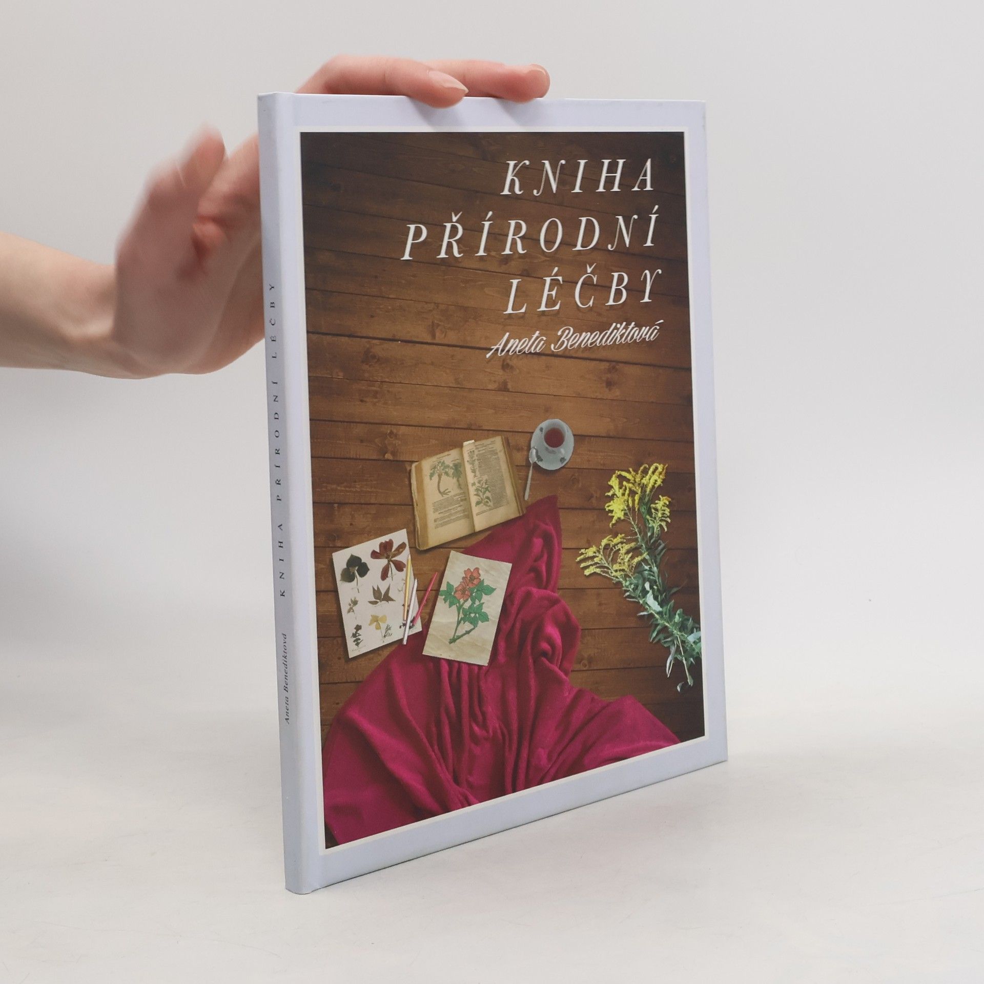 Aneta Benediktová Kniha přírodní léčby