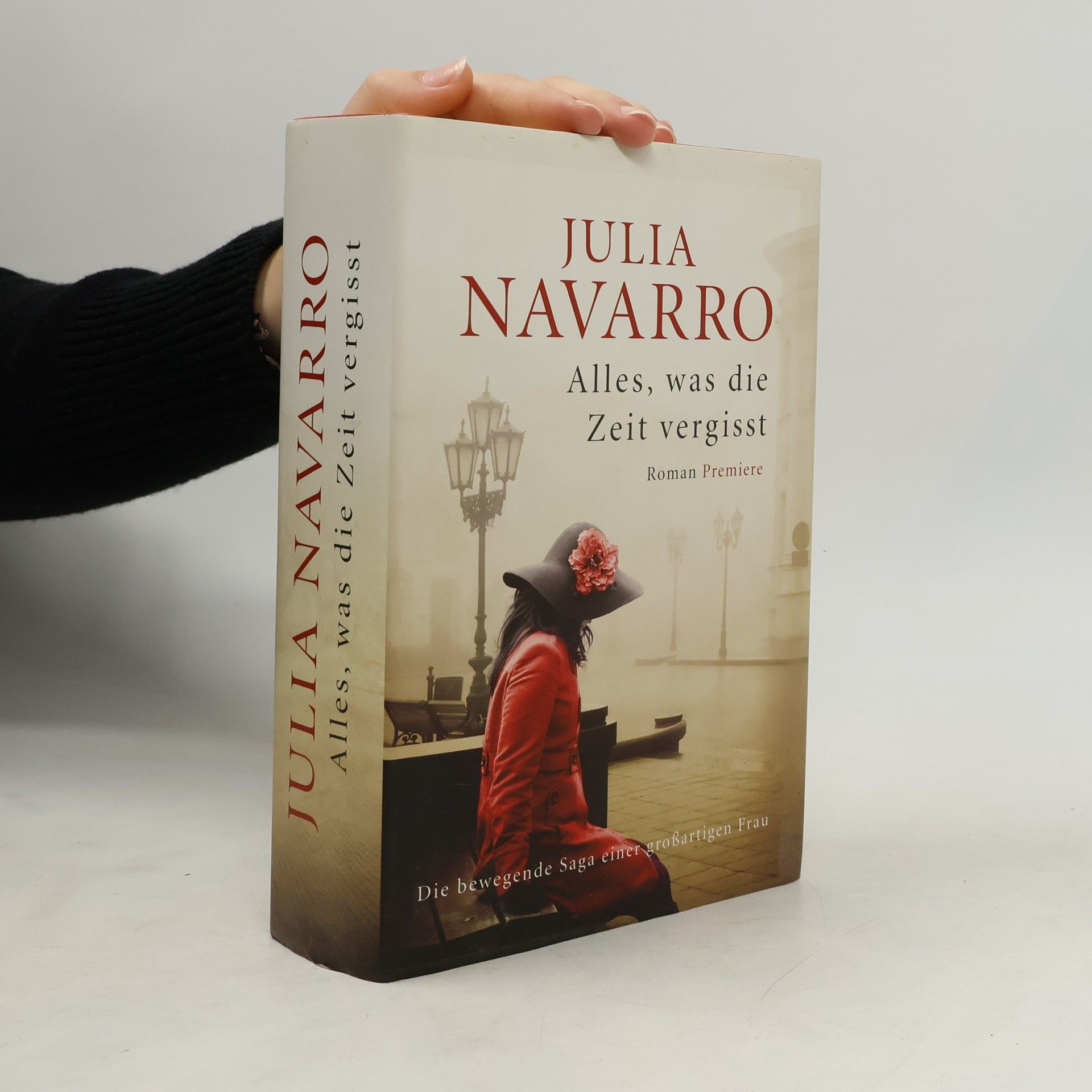 Julia Navarro Alles, was die Zeit vergisst