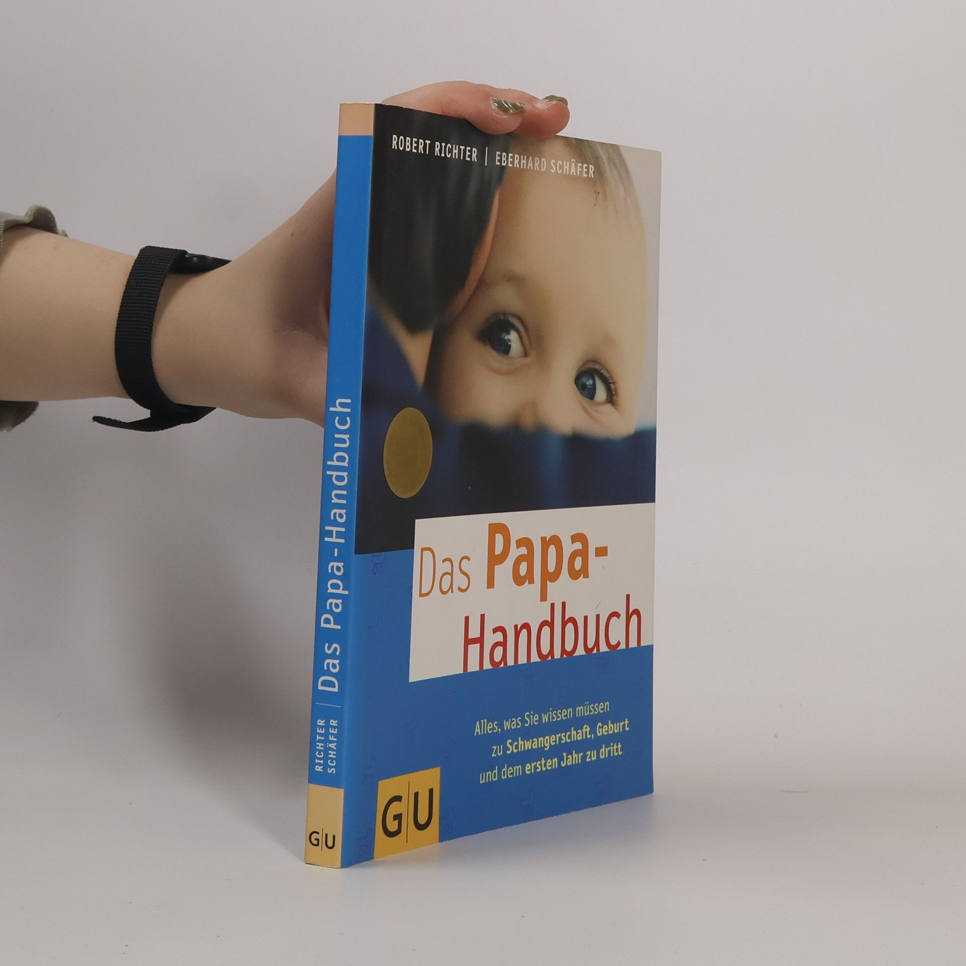 Robert Richter Das Papa-Handbuch