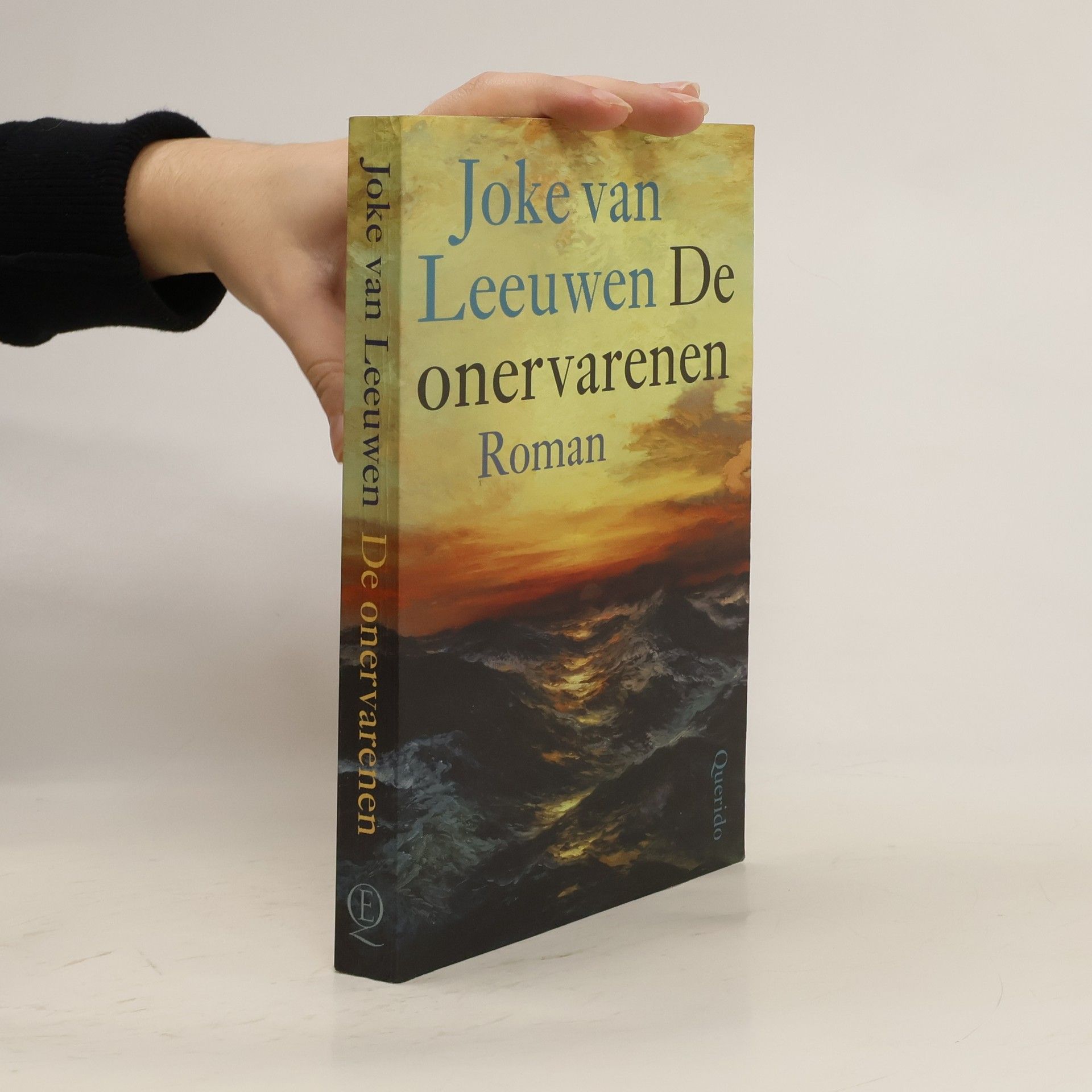 Joke van Leeuwen De onervarenen