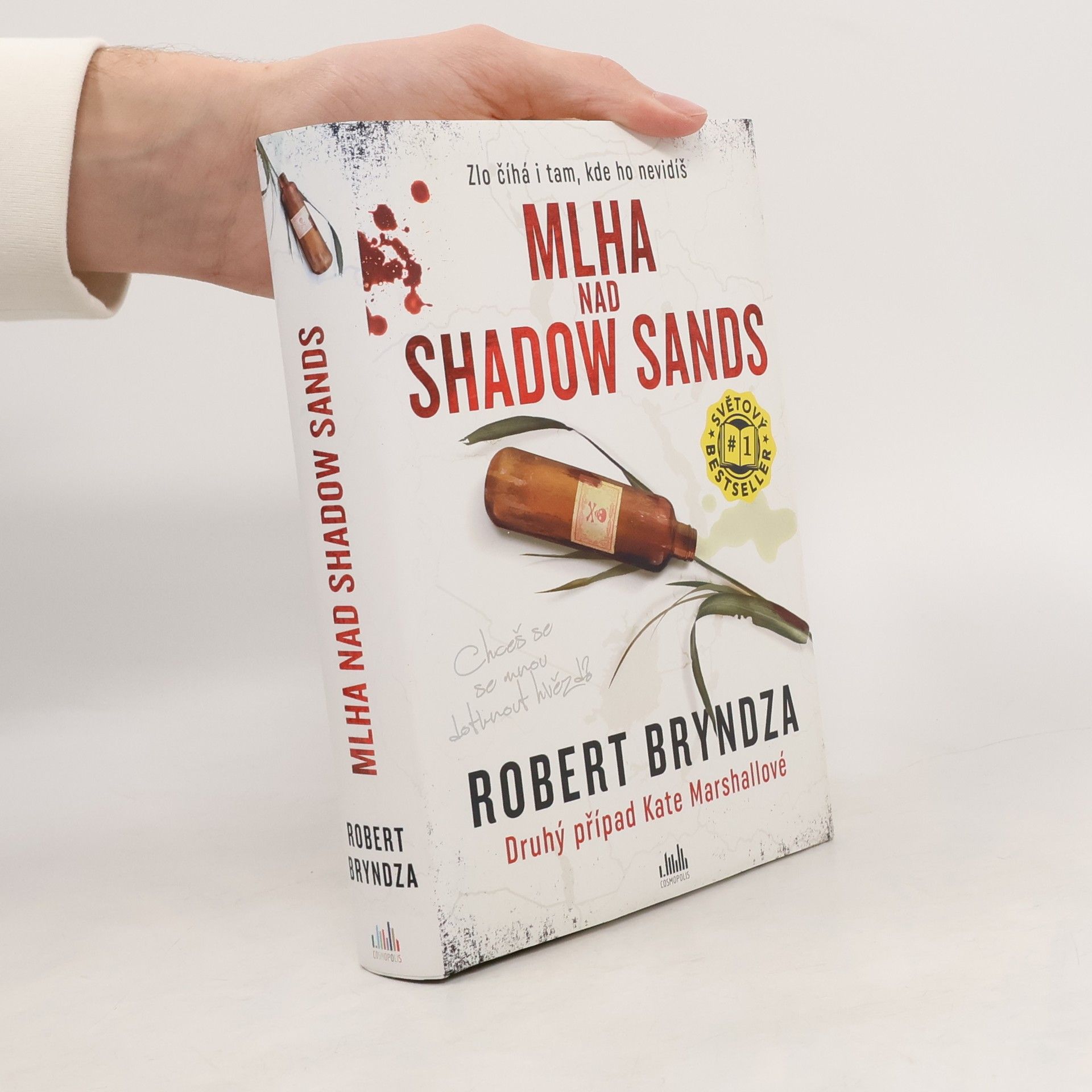 Robert Bryndza Mlha nad Shadow Sands