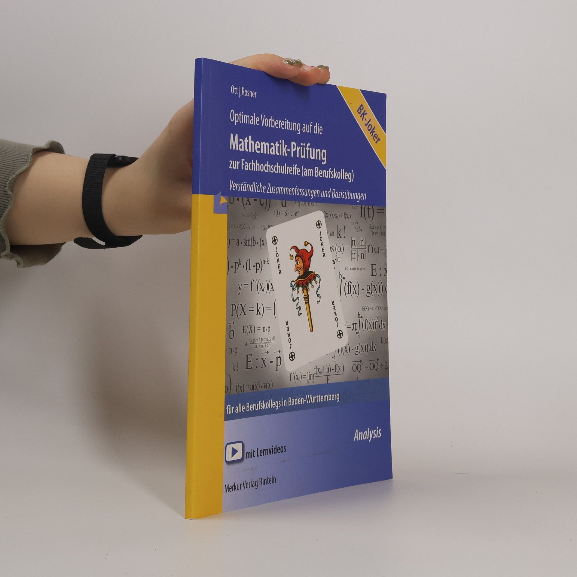 Roland Ott Mathematik im Berufskolleg - Prüfungsgrundlagen Analysis