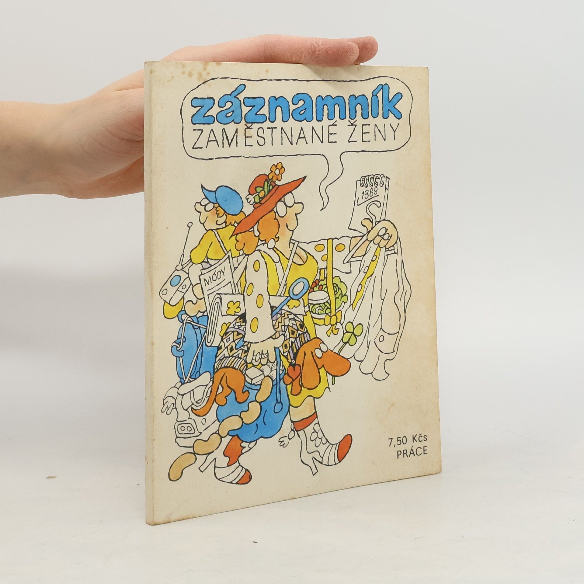 Autorenkollektiv Záznamník zaměstnané ženy