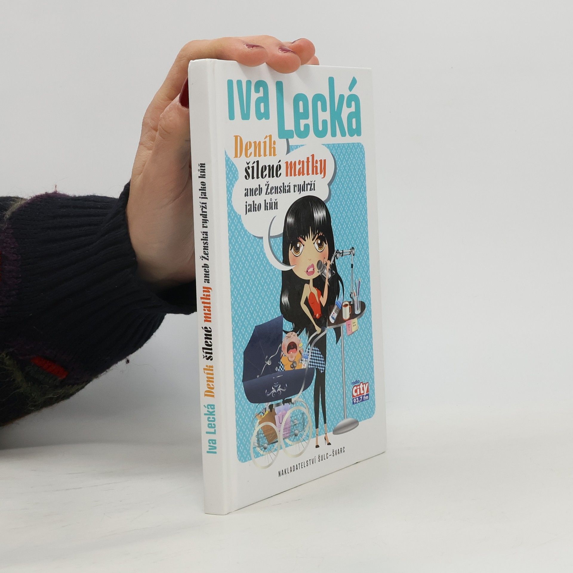 Iva Lecká Deník šílené matky