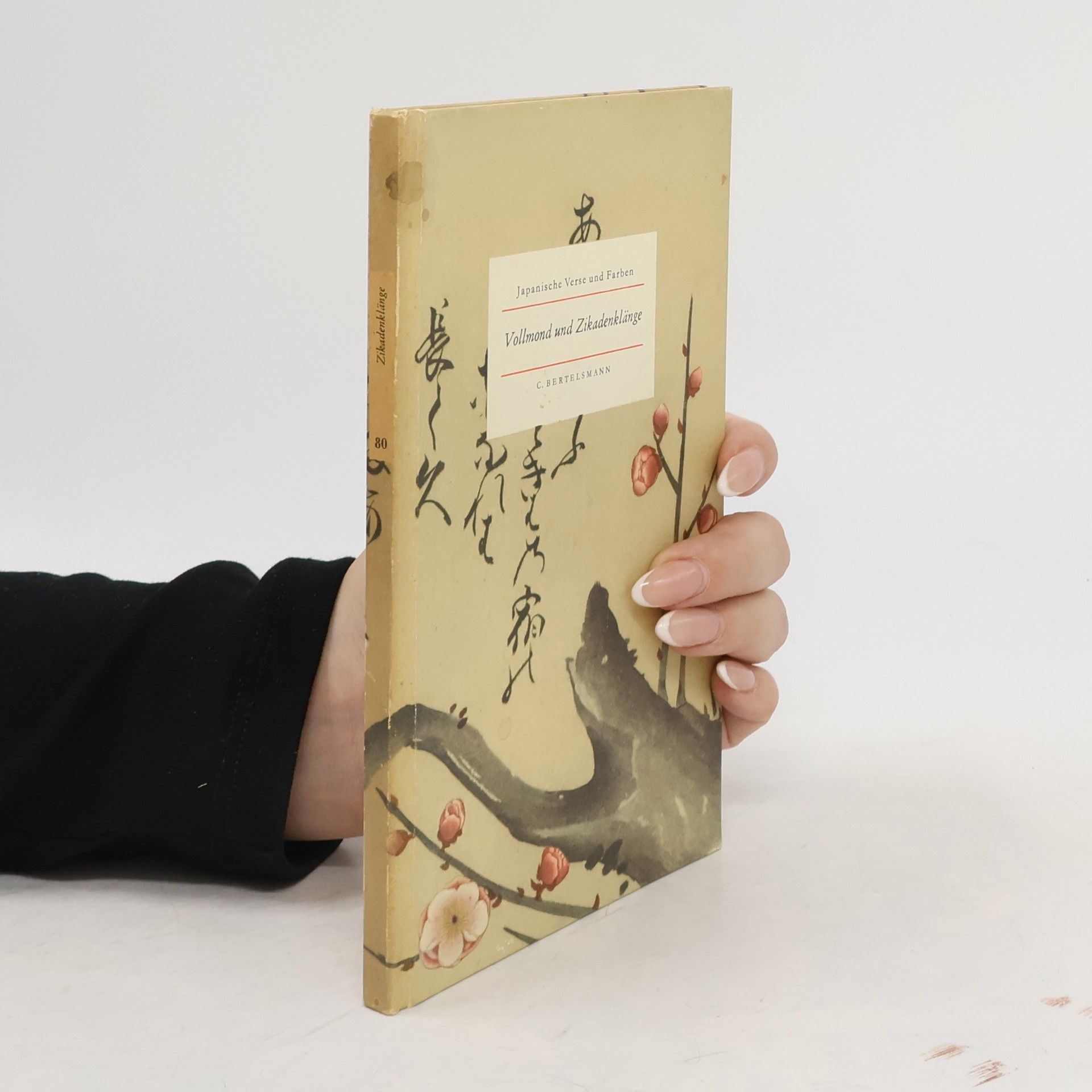 Autorenkollektiv Vollmond und Zikadenklänge