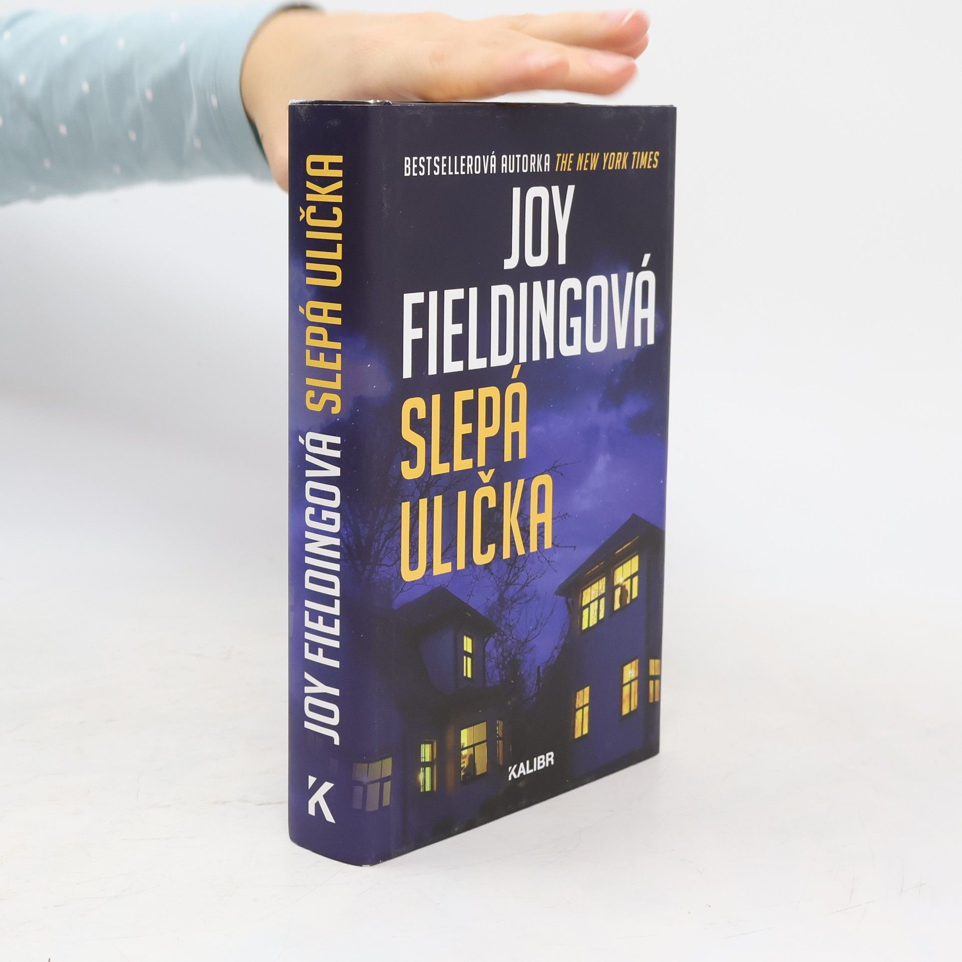 Joy Fielding Slepá ulička