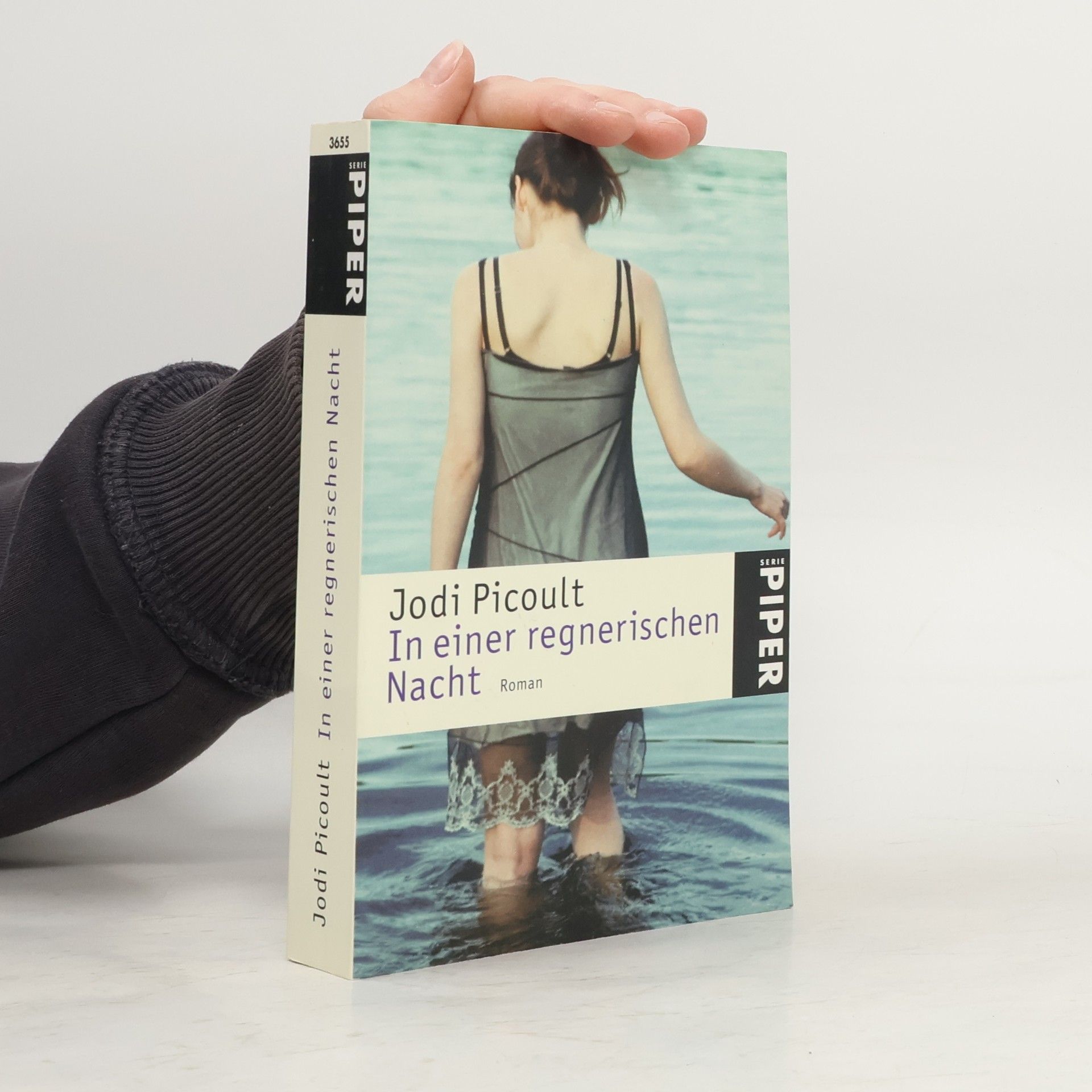 Jodi Picoult In einer regnerischen Nacht