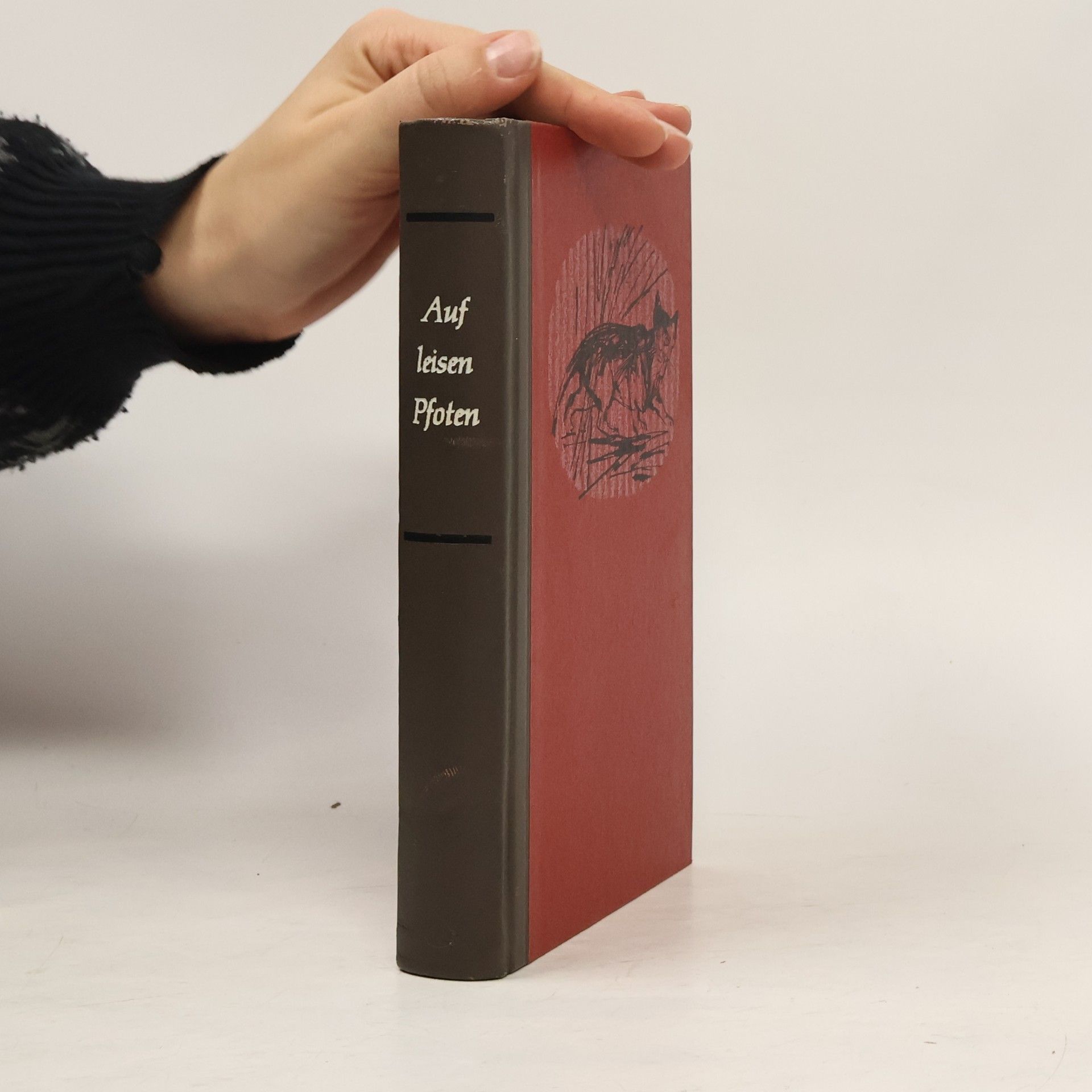 Autores varios Auf leisen Pfoten