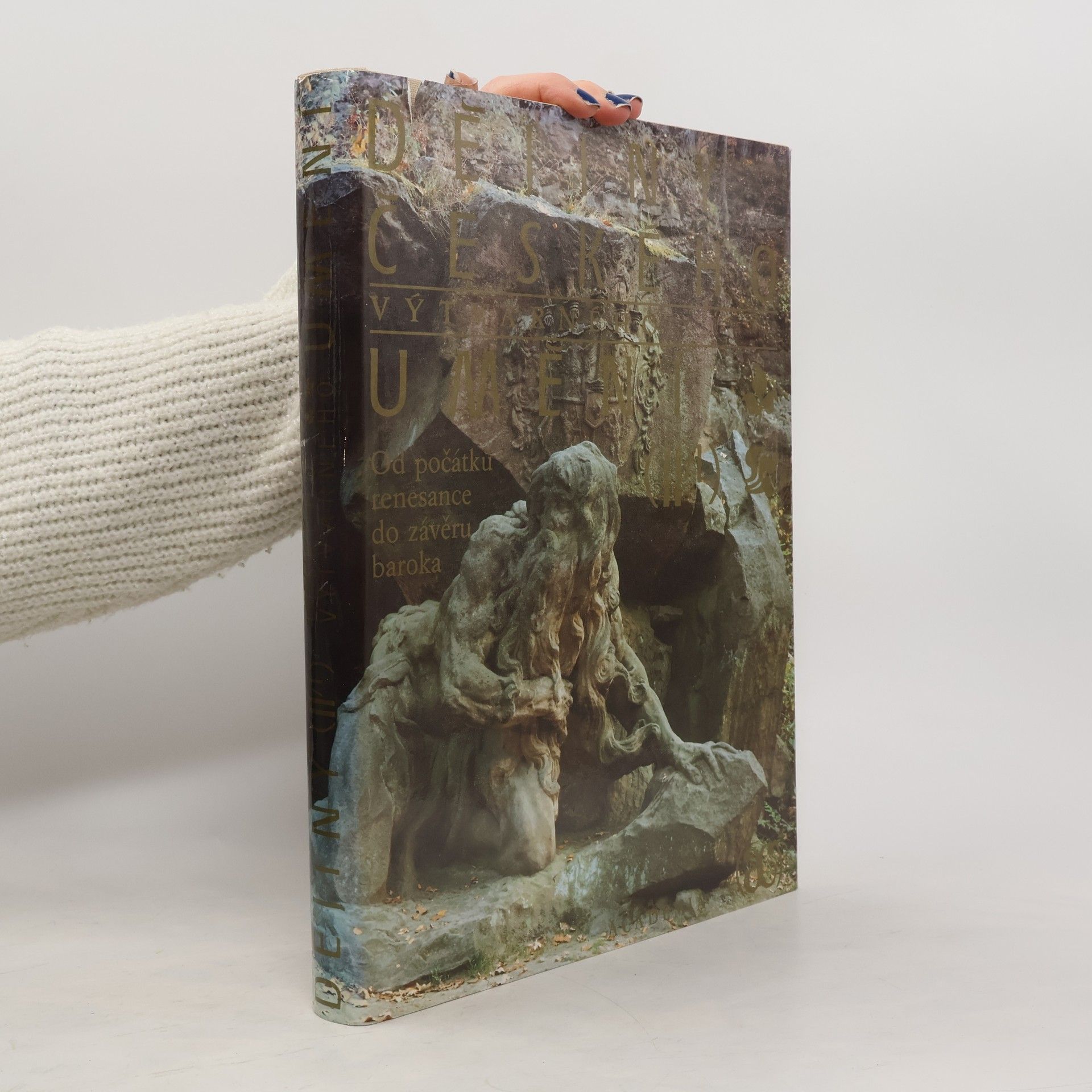 Kolektiv autorů Dějiny českého výtvarného umění II/1