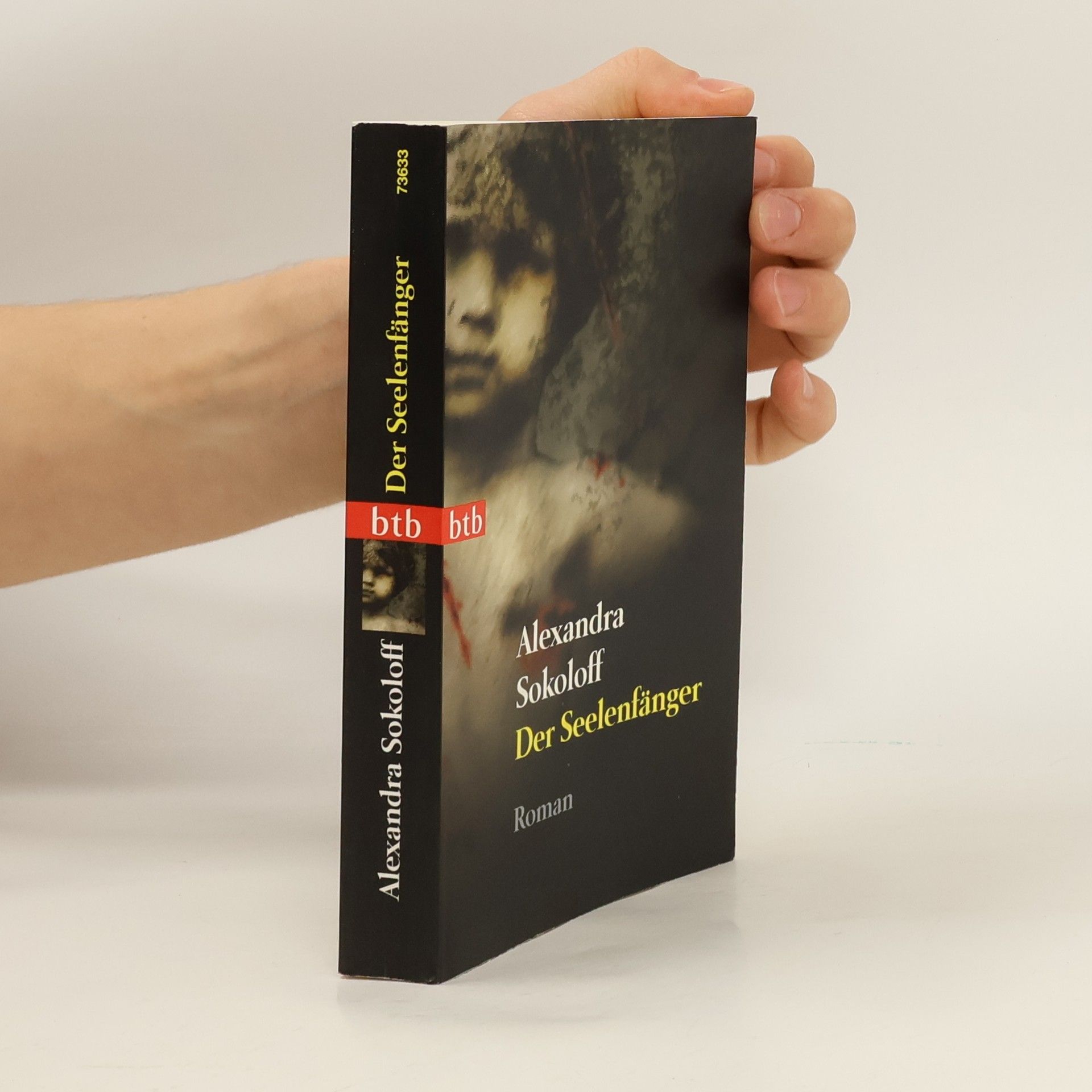 Alexandra Sokoloff Der Seelenfänger. Roman