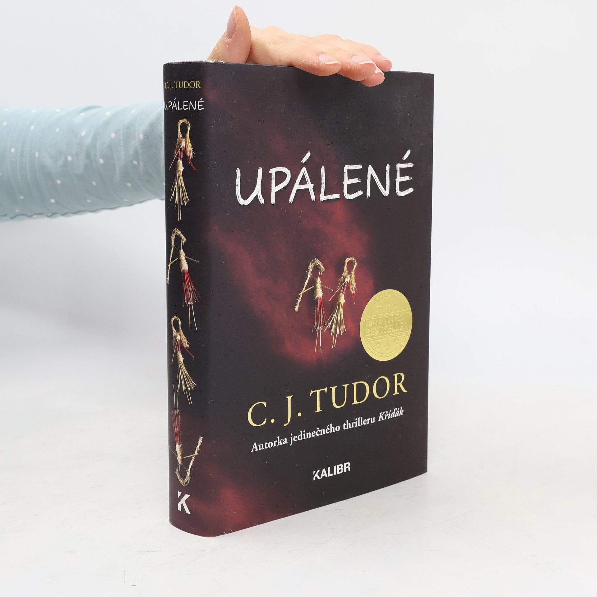 C. J. Tudor Upálené