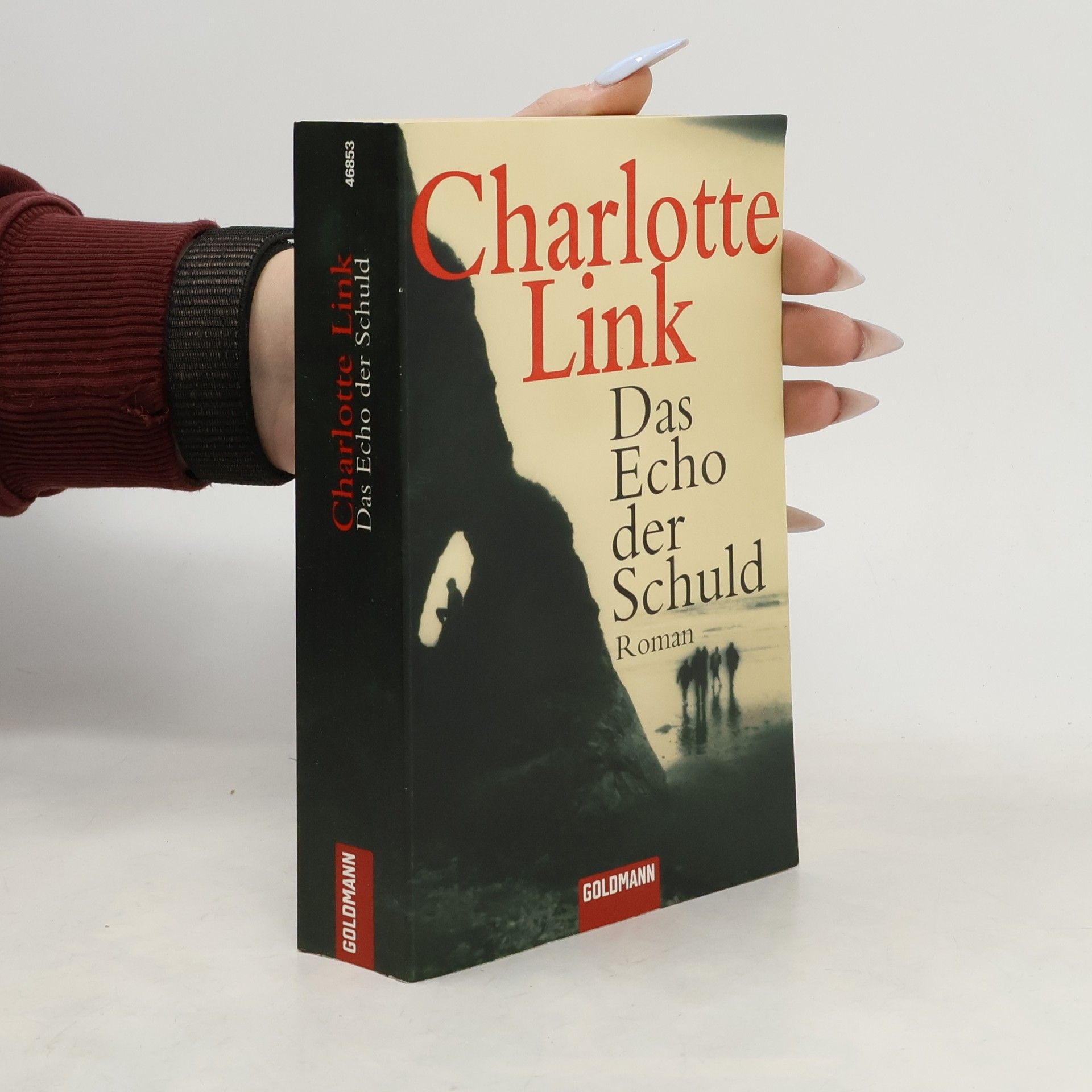 Charlotte Link Das Echo der Schuld