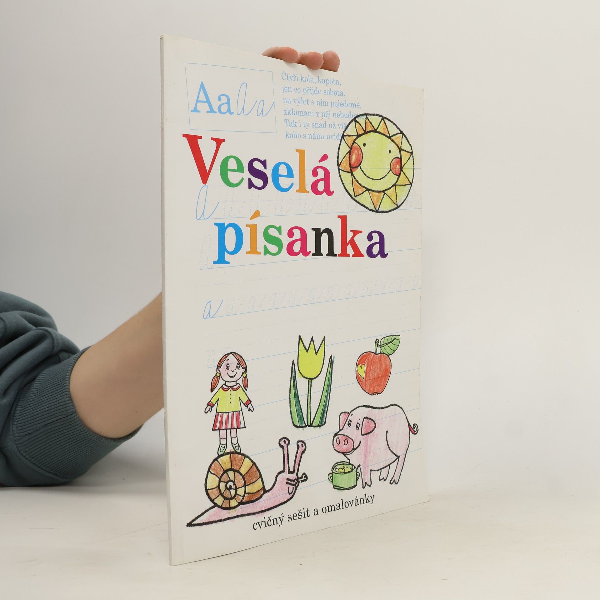 Autorenkollektiv Malý česko-anglický anglicko-český slovník