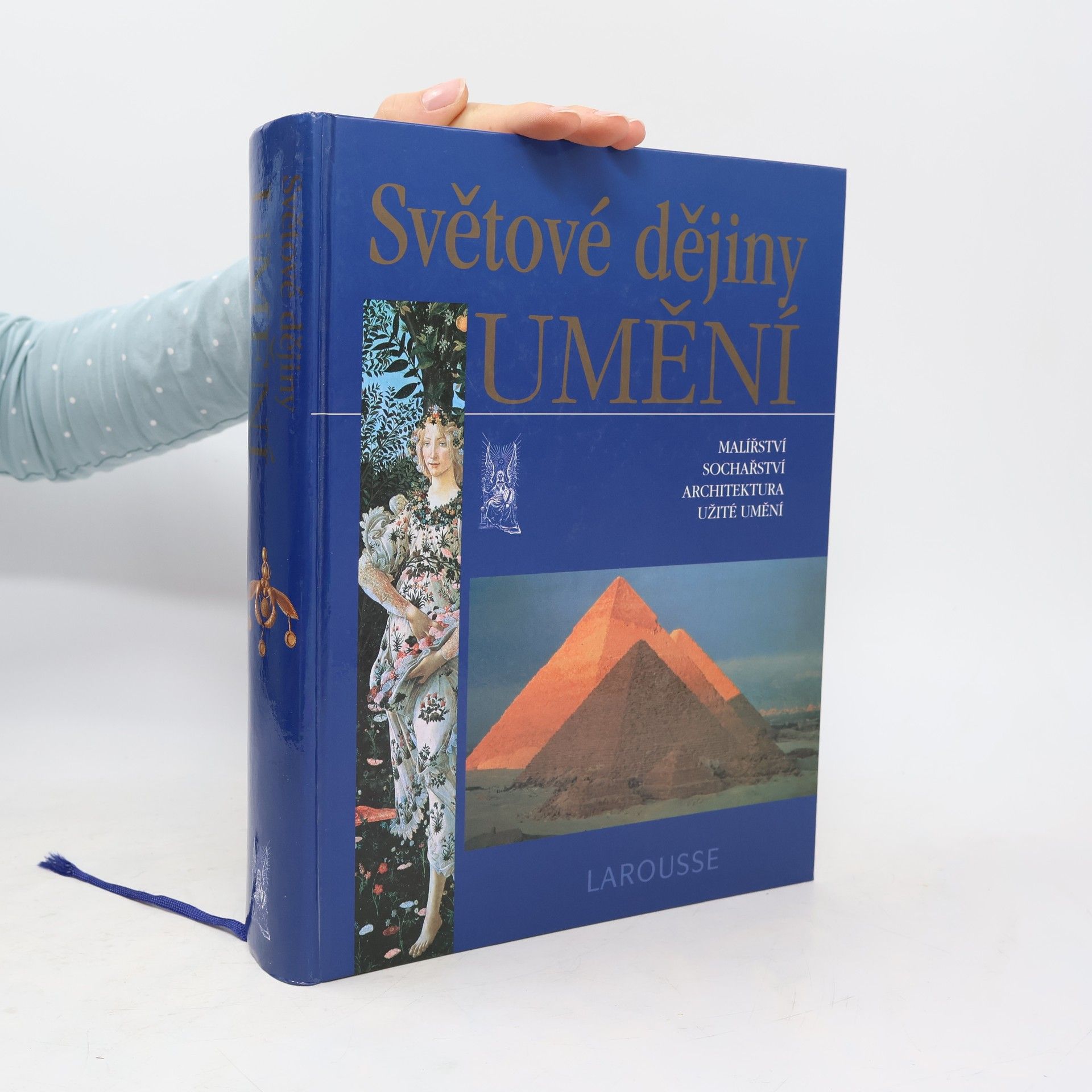 Albert Châtelet Světové dějiny umění : malířství, sochařství, architektura, užité umění