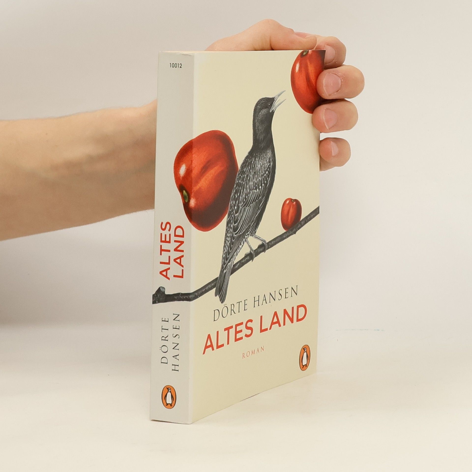 Dörte Hansen Altes Land