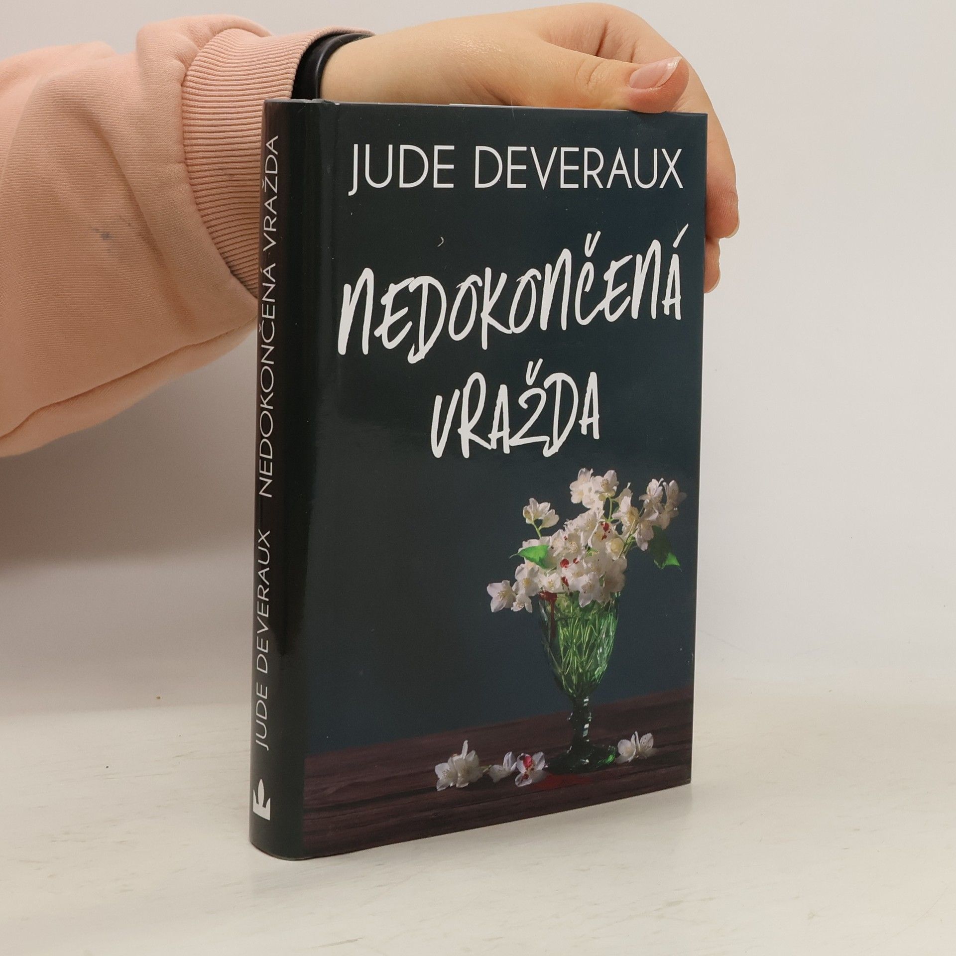 Jude Deveraux Nedokončená vražda