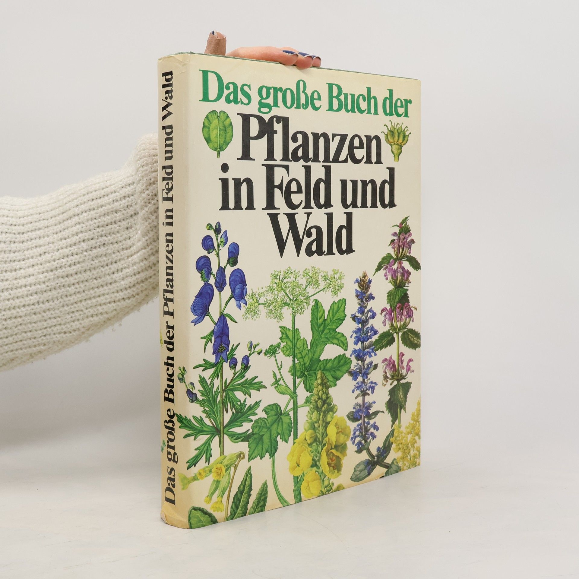 Das große Buch der Pflanzen in Feld und Wald