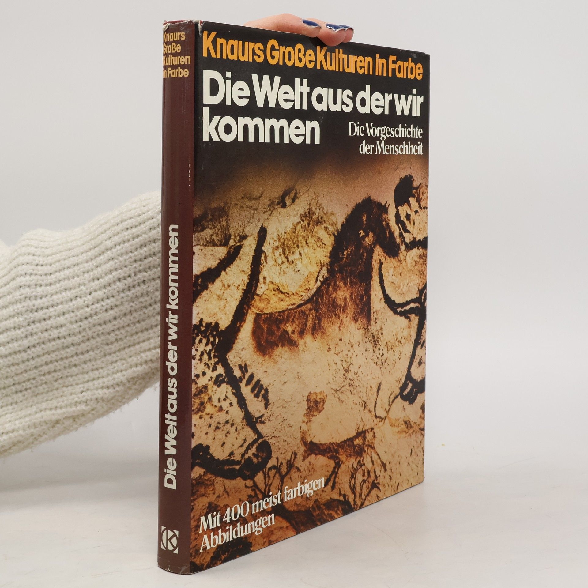 Die Welt, aus der wir kommen