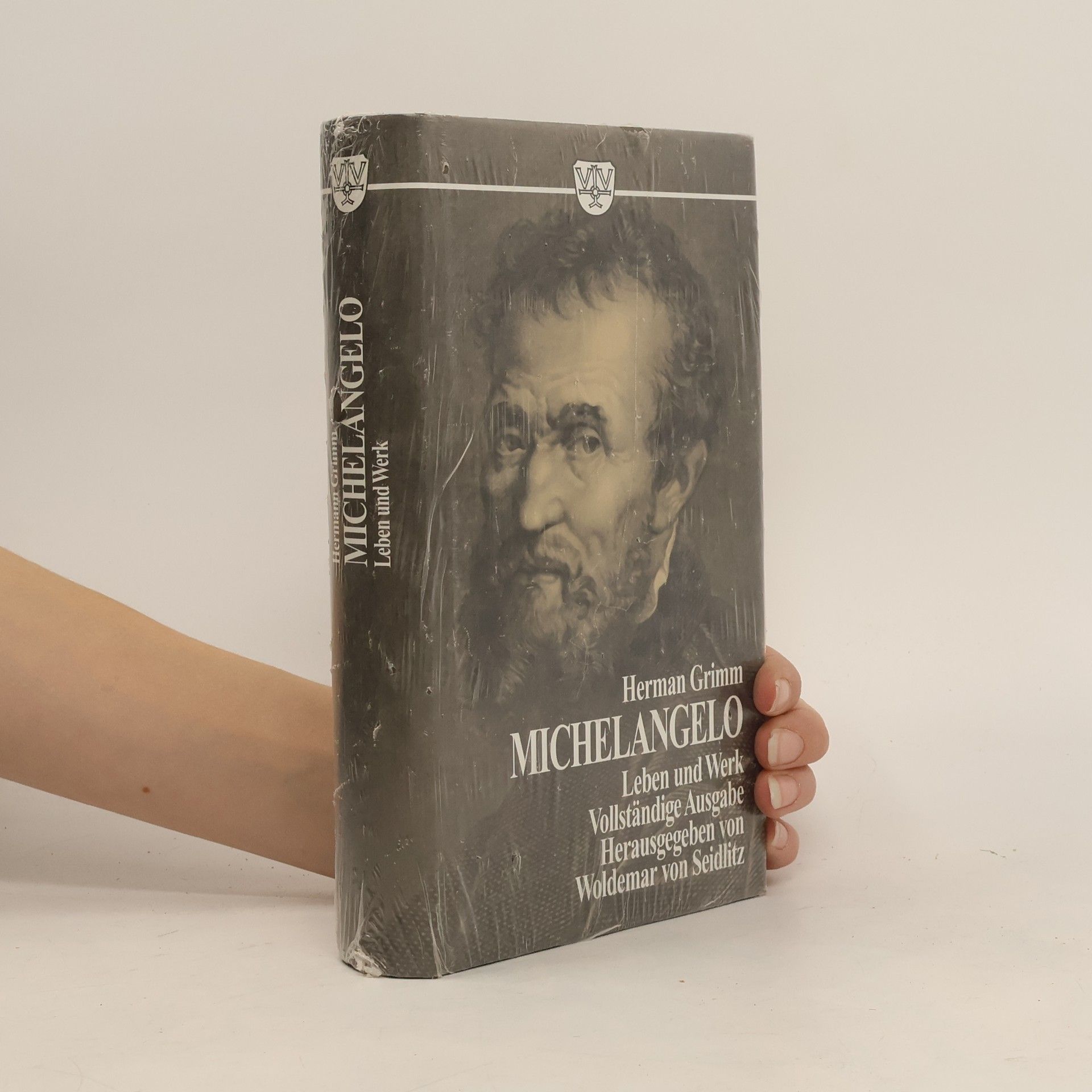 Herman Grimm Leben & Werk Michelangelos