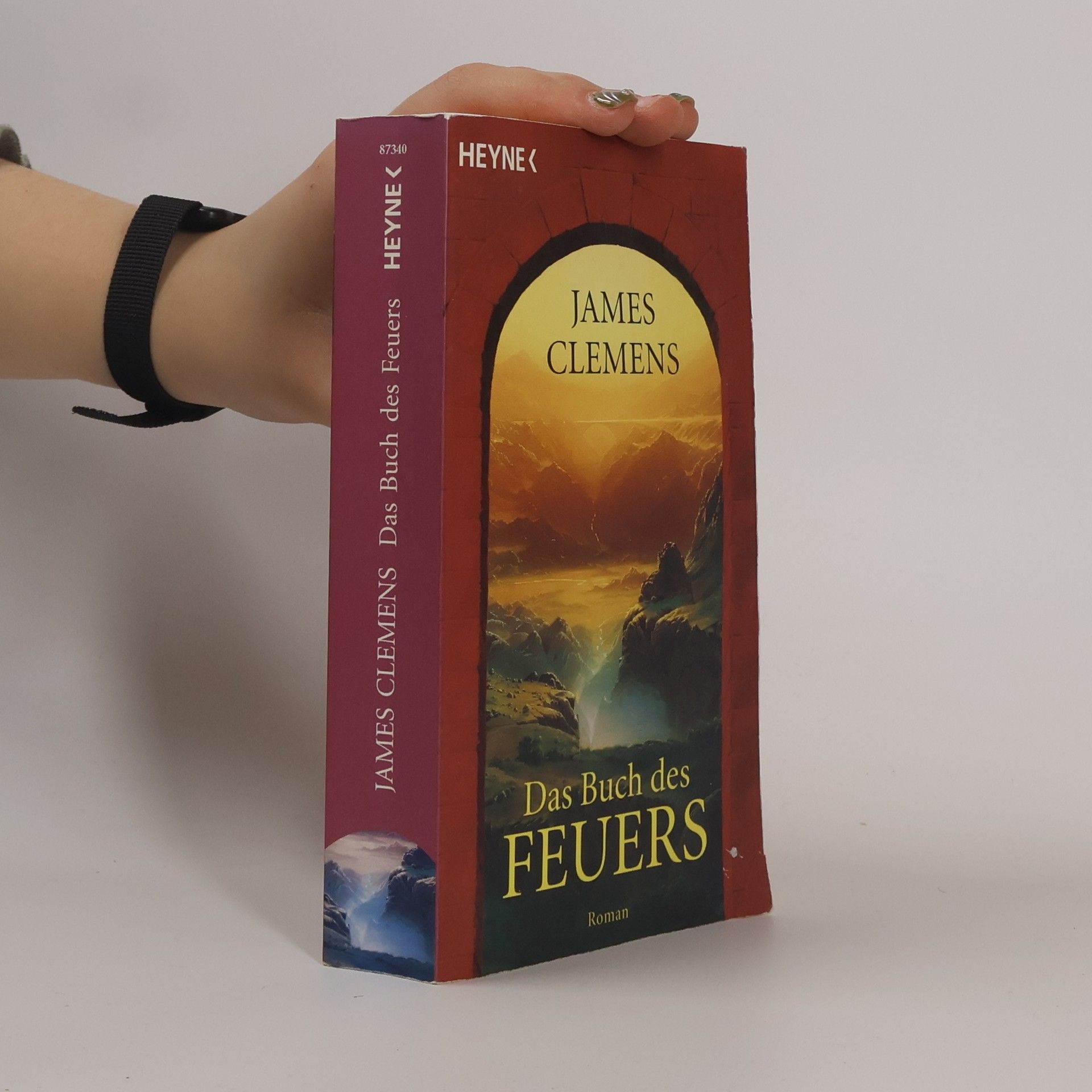 Das Buch des Feuers