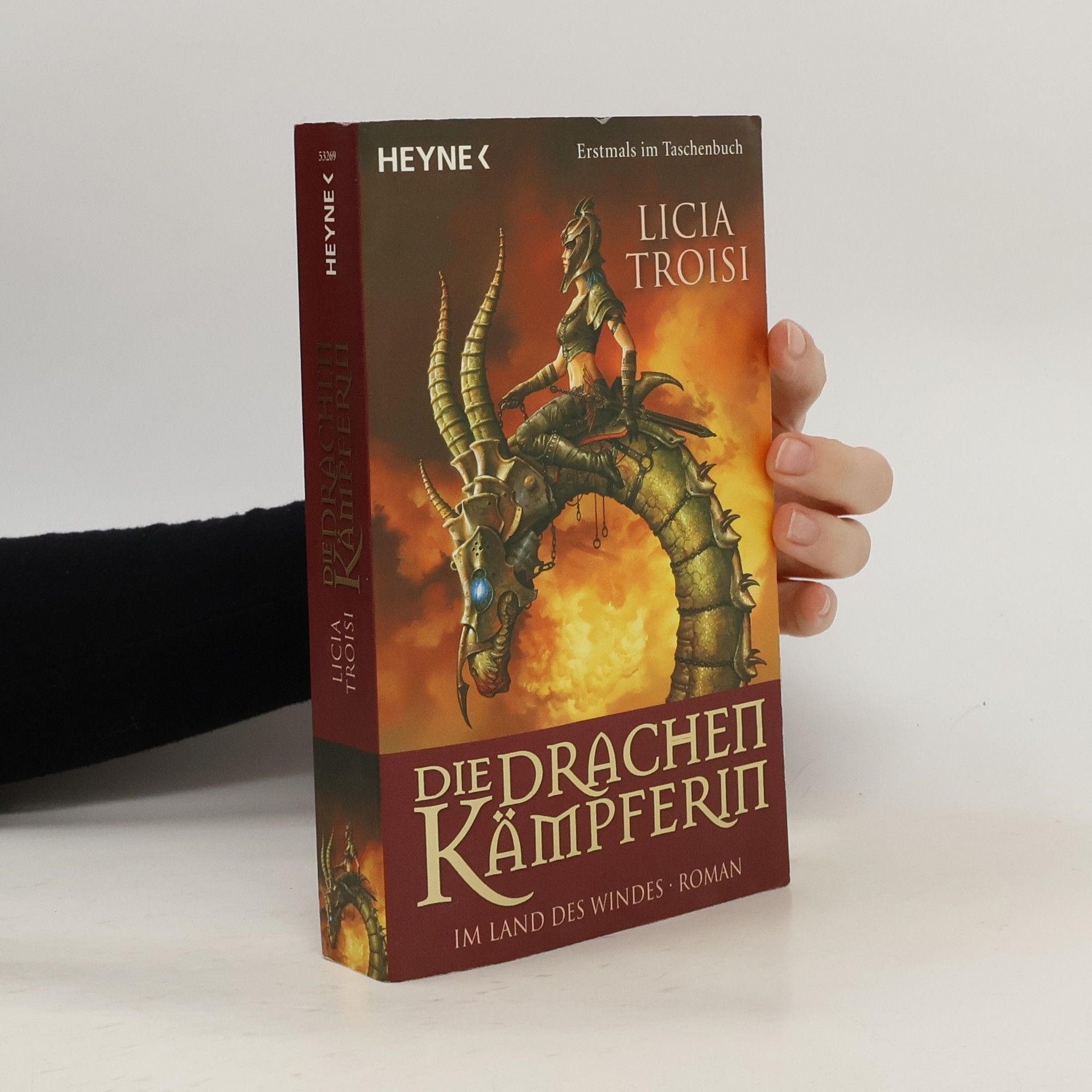 Die Drachenkämpferin