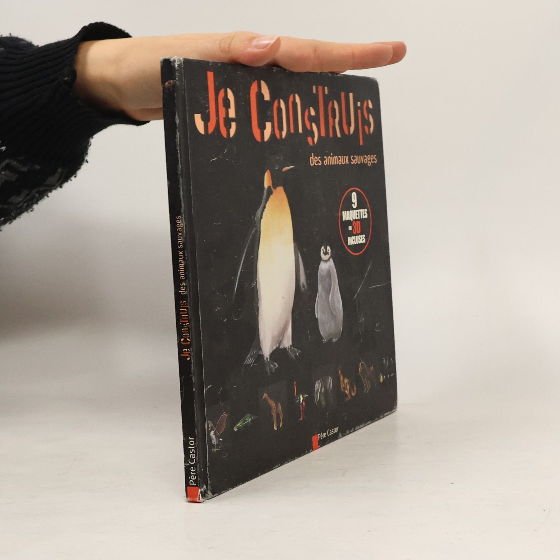 Isabelle Stoufflet Je construis des animaux sauvages