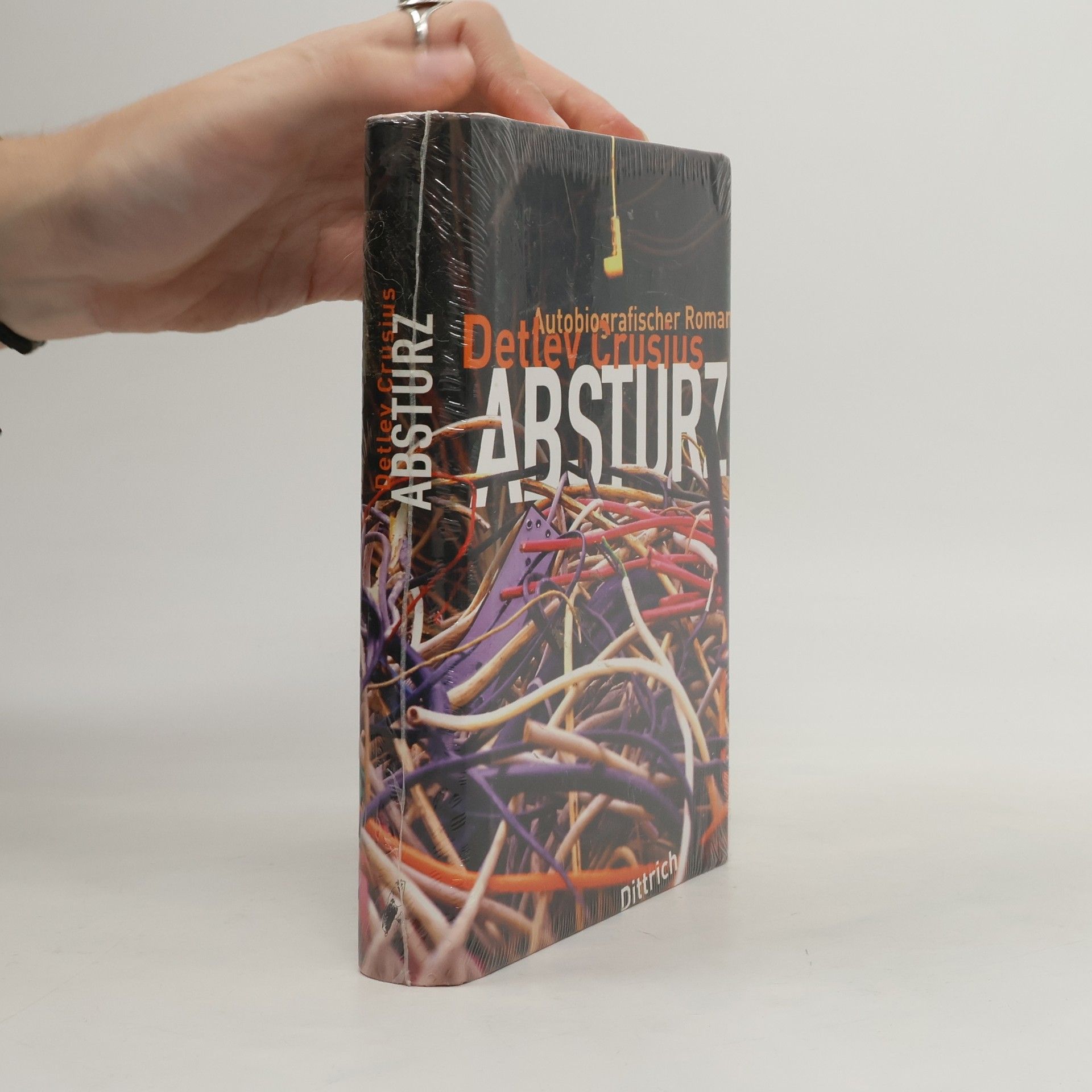 Detlev Crusius Absturz