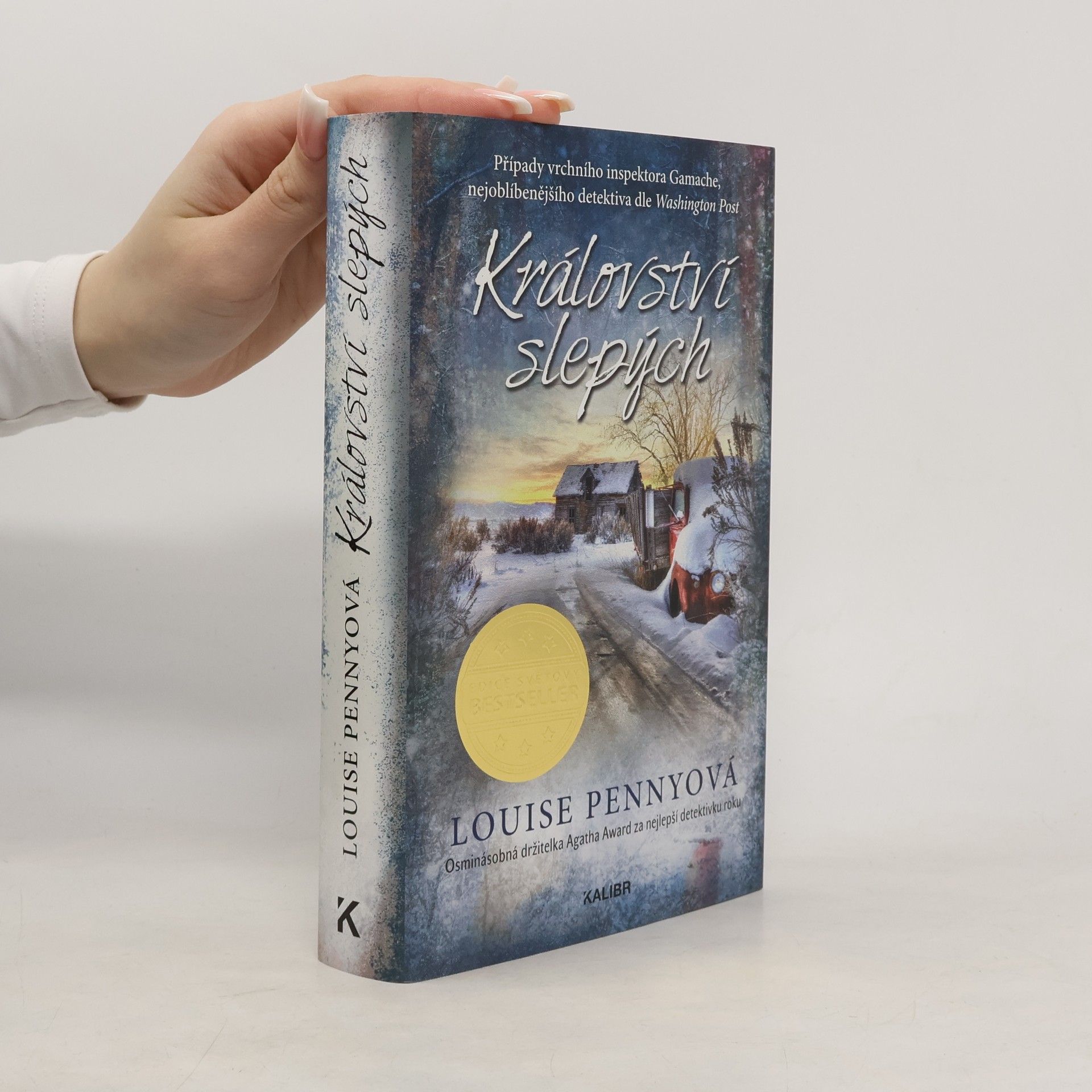 Louise Penny Království slepých