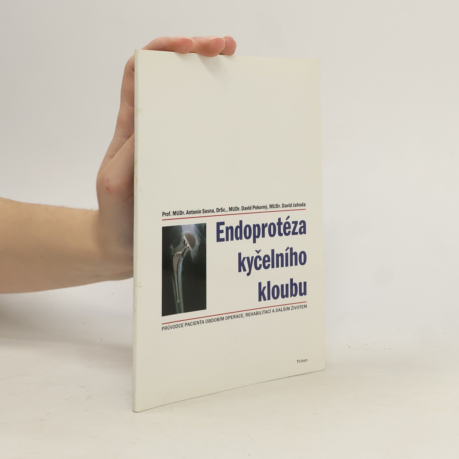 Endoprotéza kyčelního kloubu