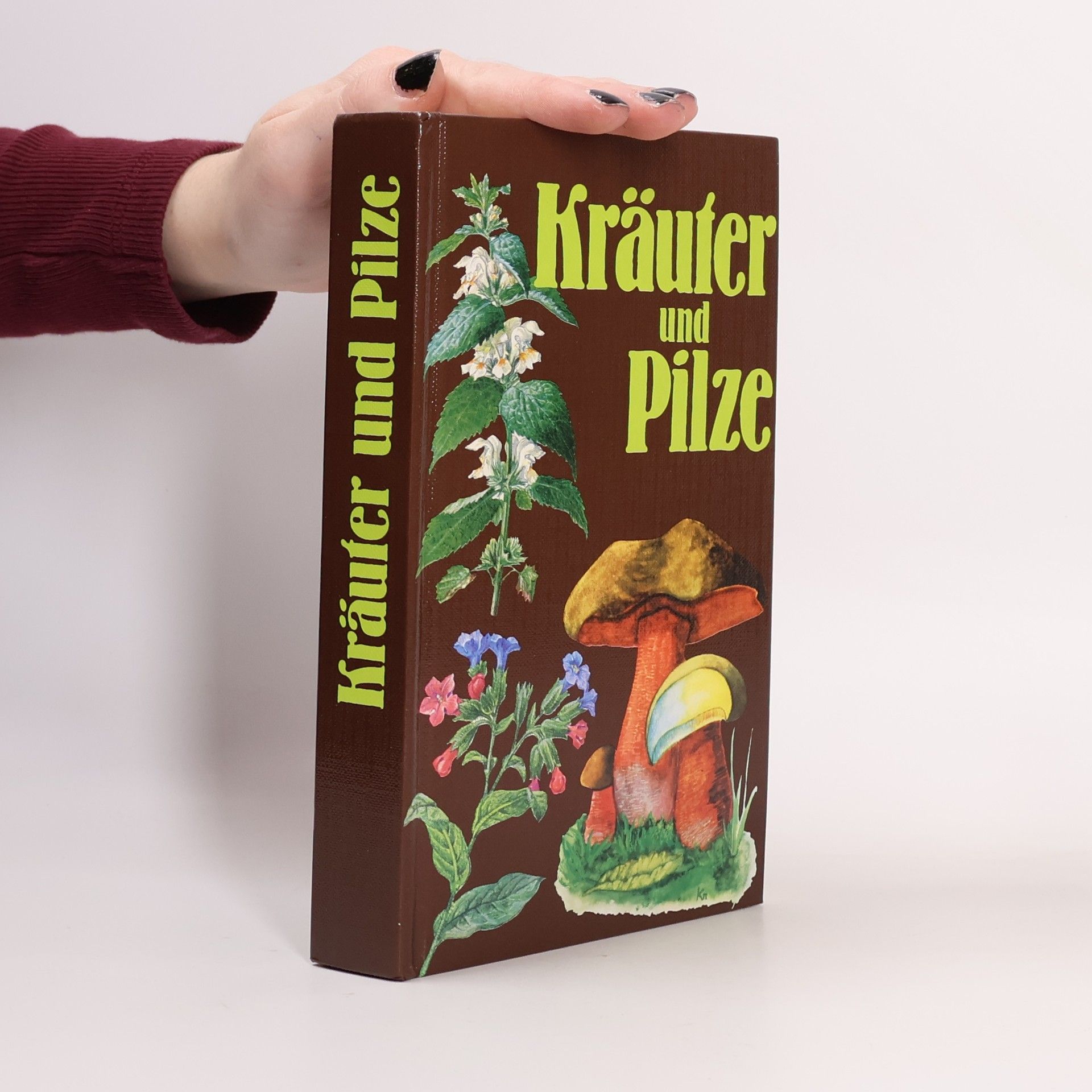 Autorenkollektiv Kräuter und Pilze