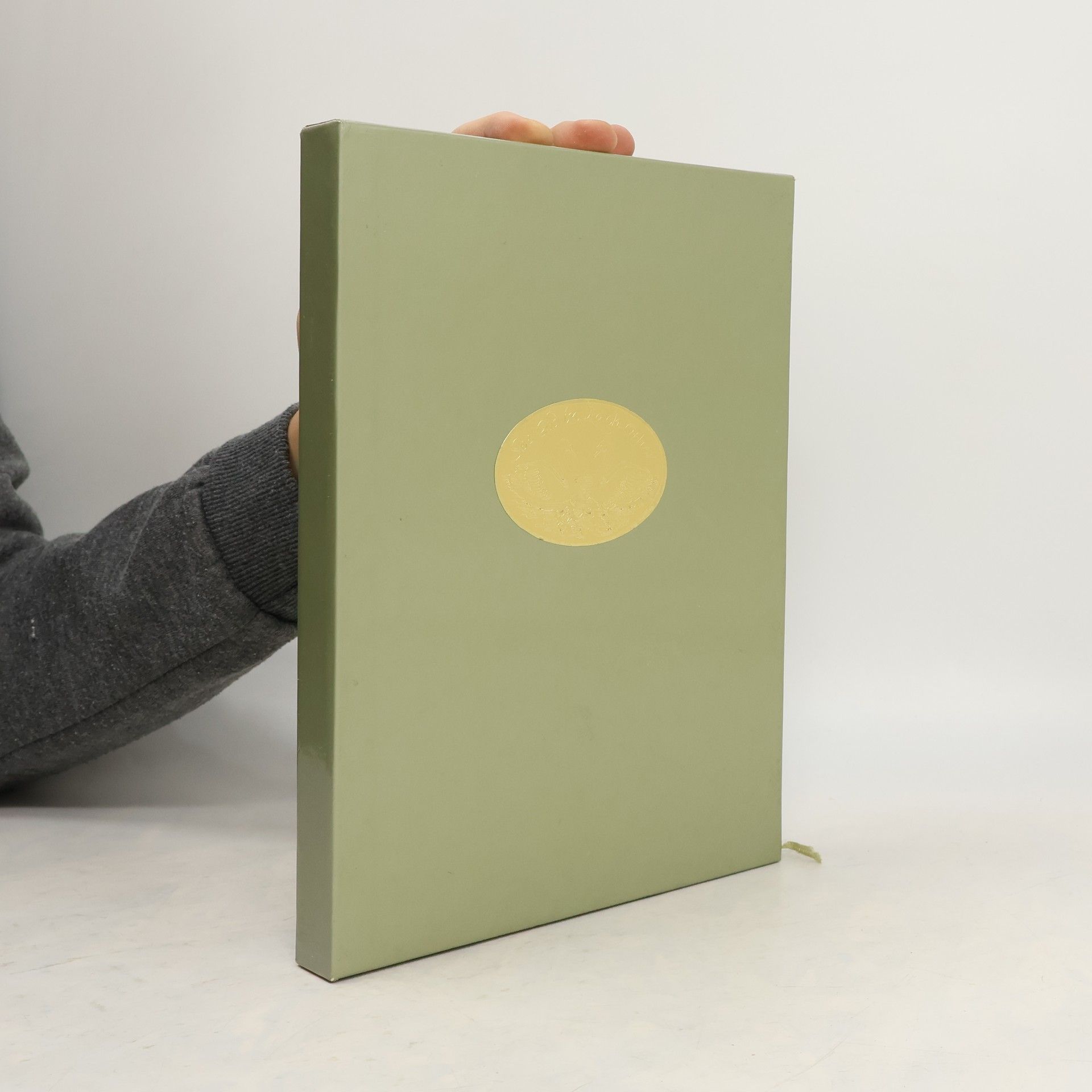 Asche Zu Meines Gurus Füssen