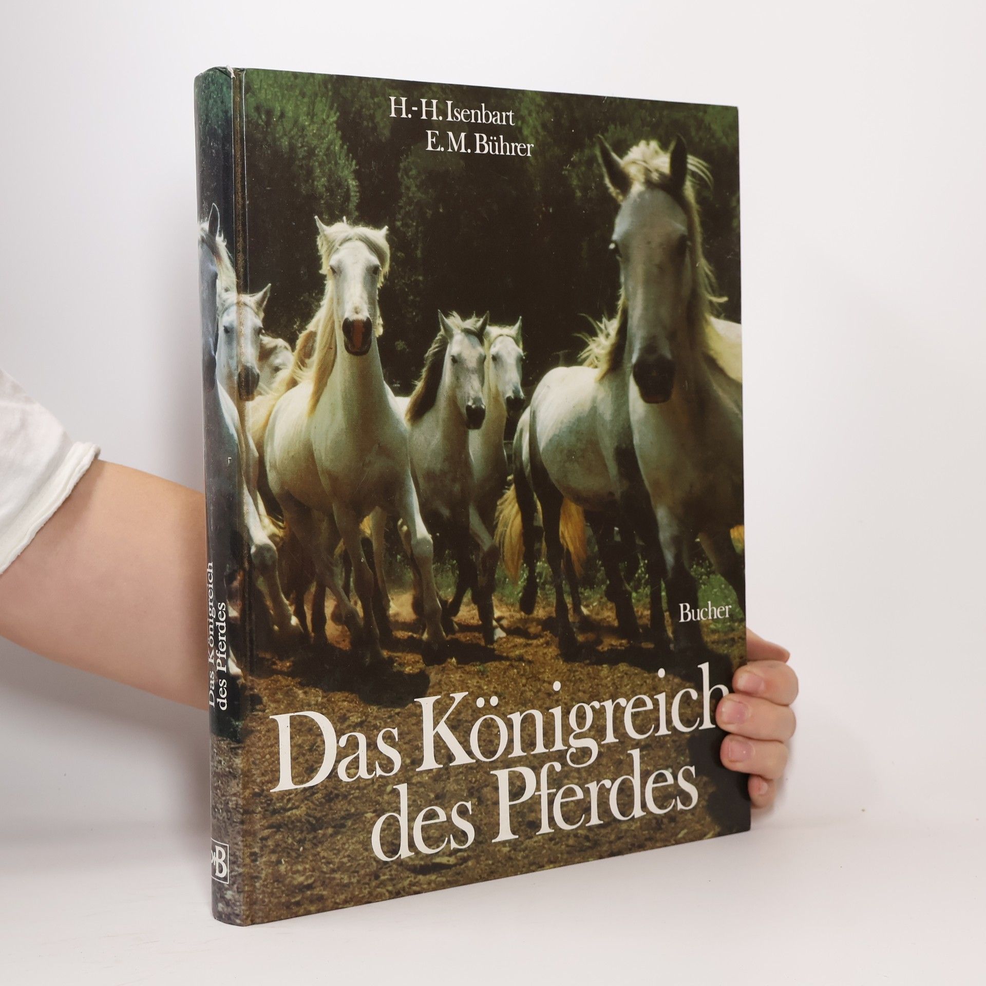 Das Königreich des Pferdes