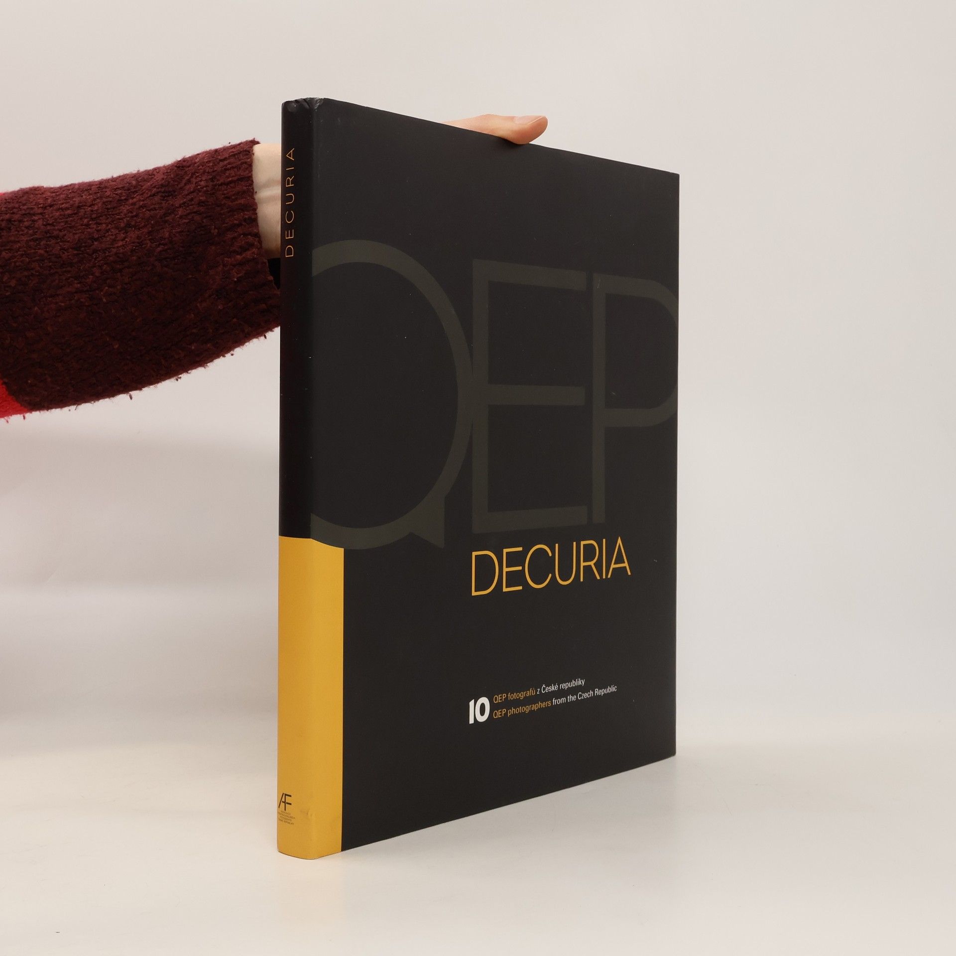 Kolektív autorov Decuria