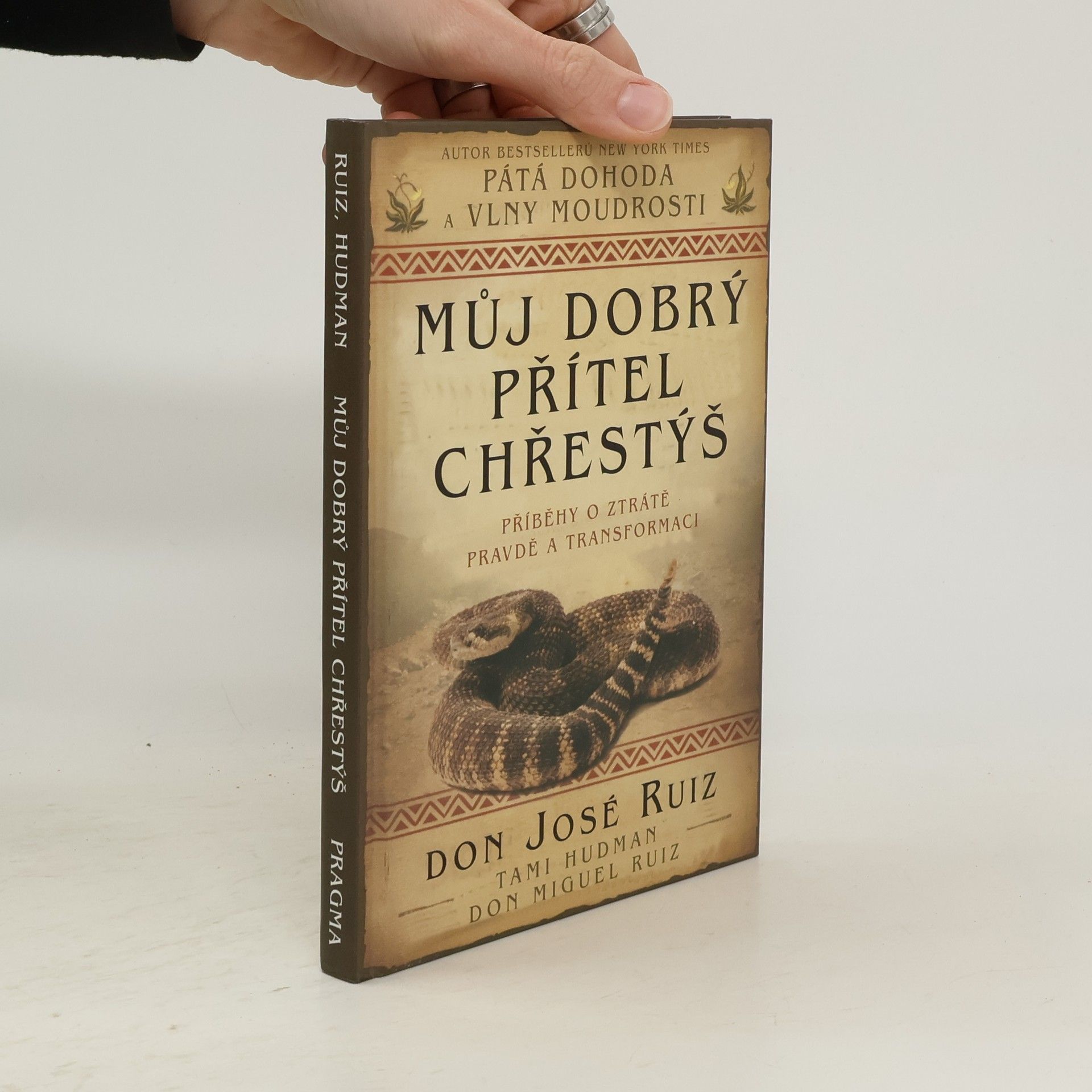 Můj dobrý přítel chřestýš : příběhy o ztrátě, pravdě a transformaci