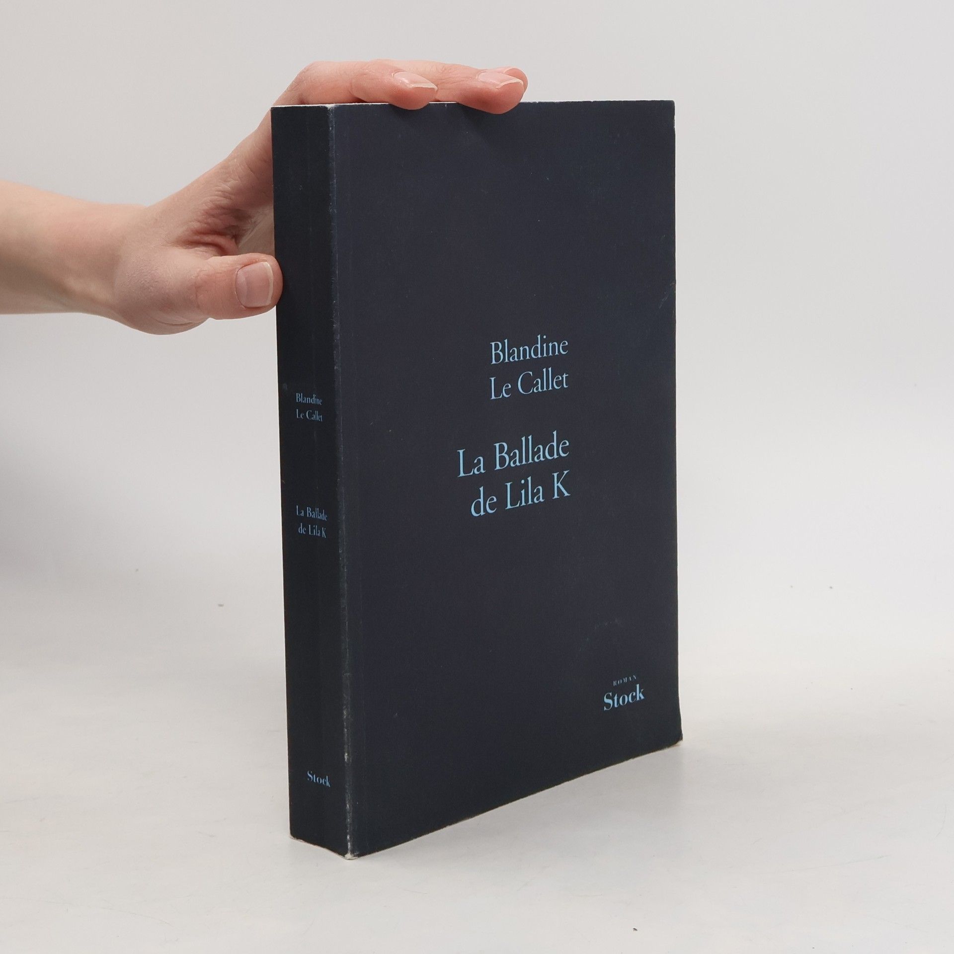 Blandine Le Callet La ballade de Lila K