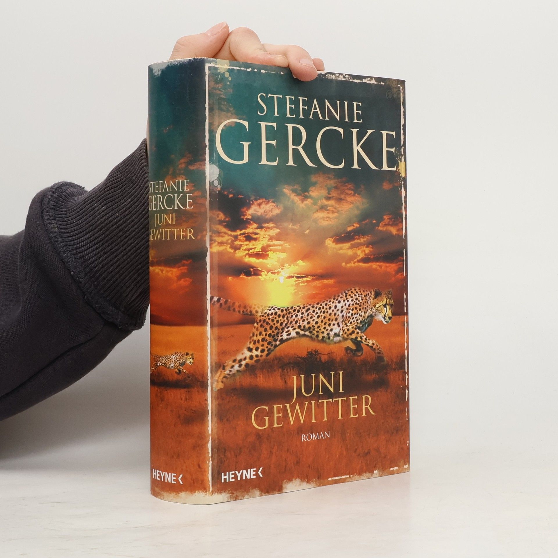 Stefanie Gercke Junigewitter