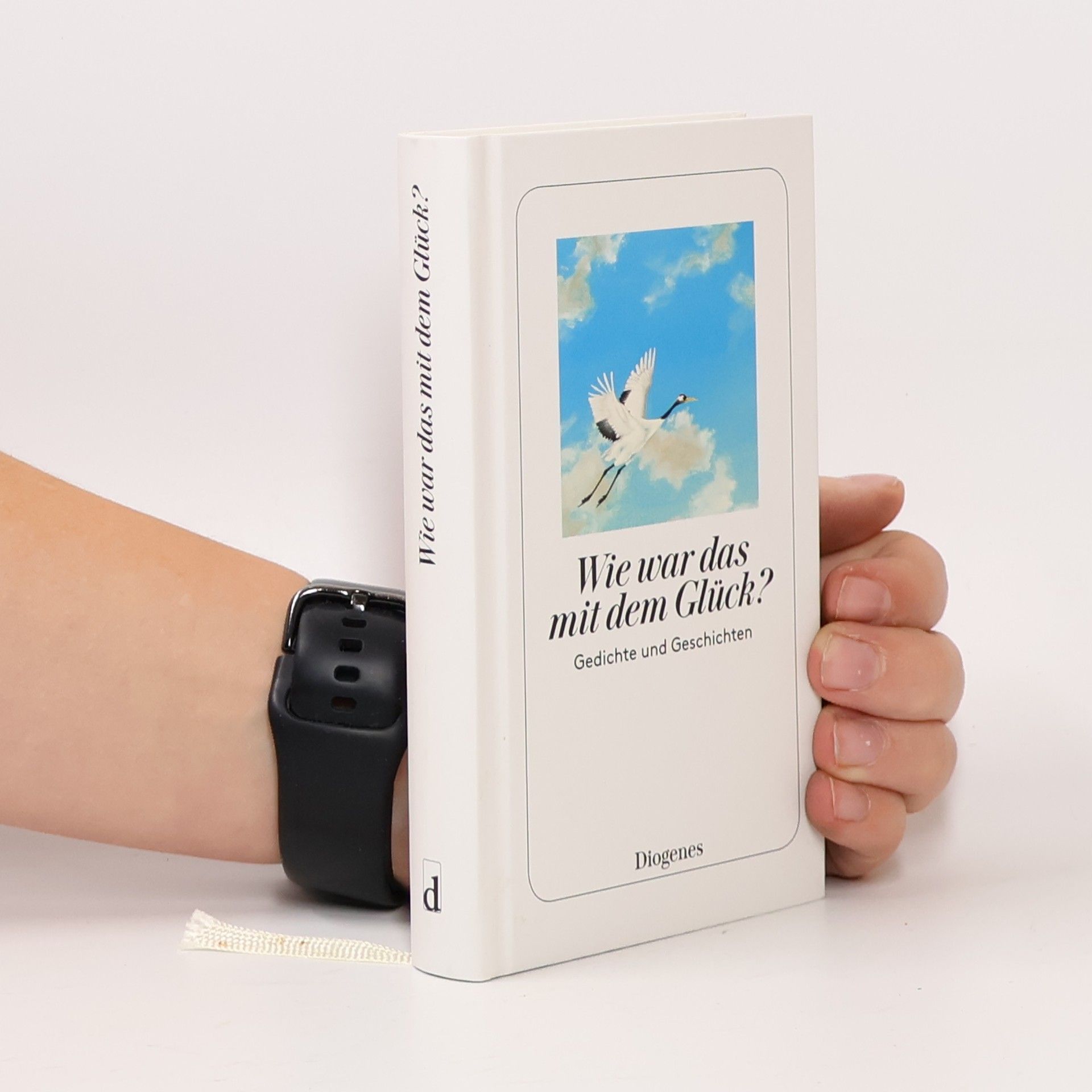 Autorenkollektiv Wie war das mit dem Glück? Gedichte und Geschichten