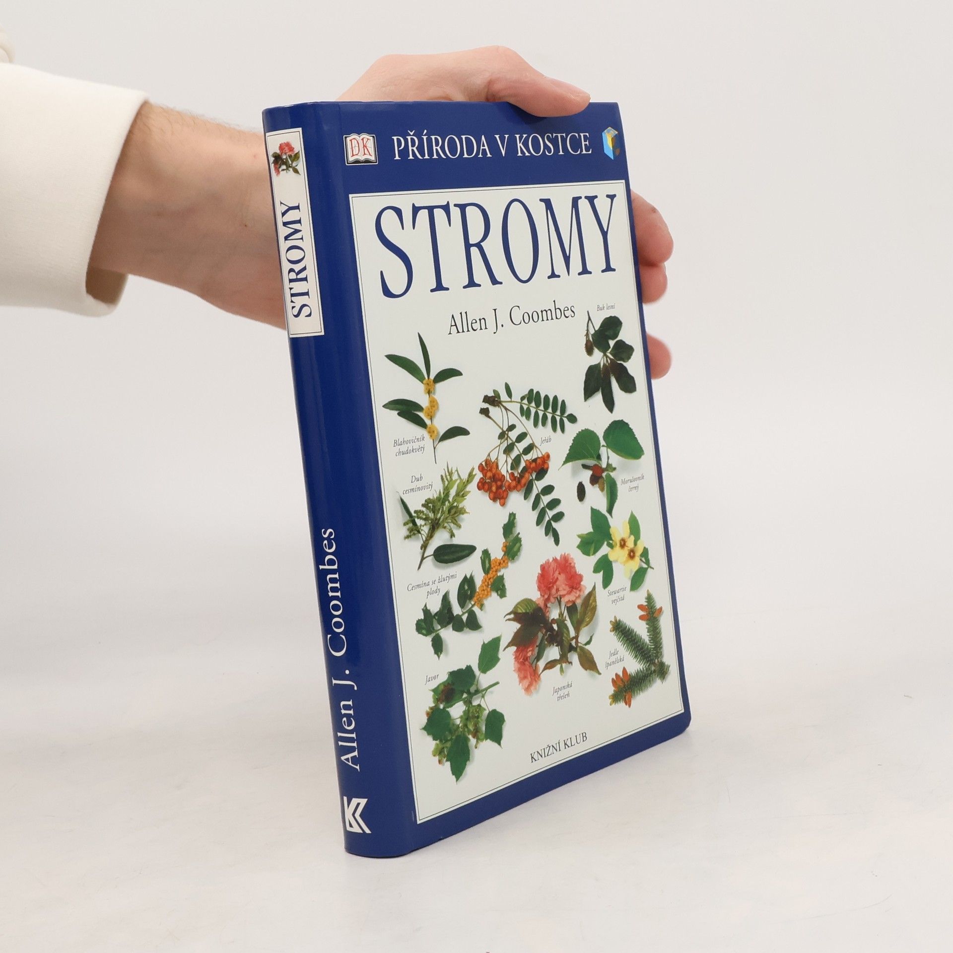 Allen J. Coombes Stromy