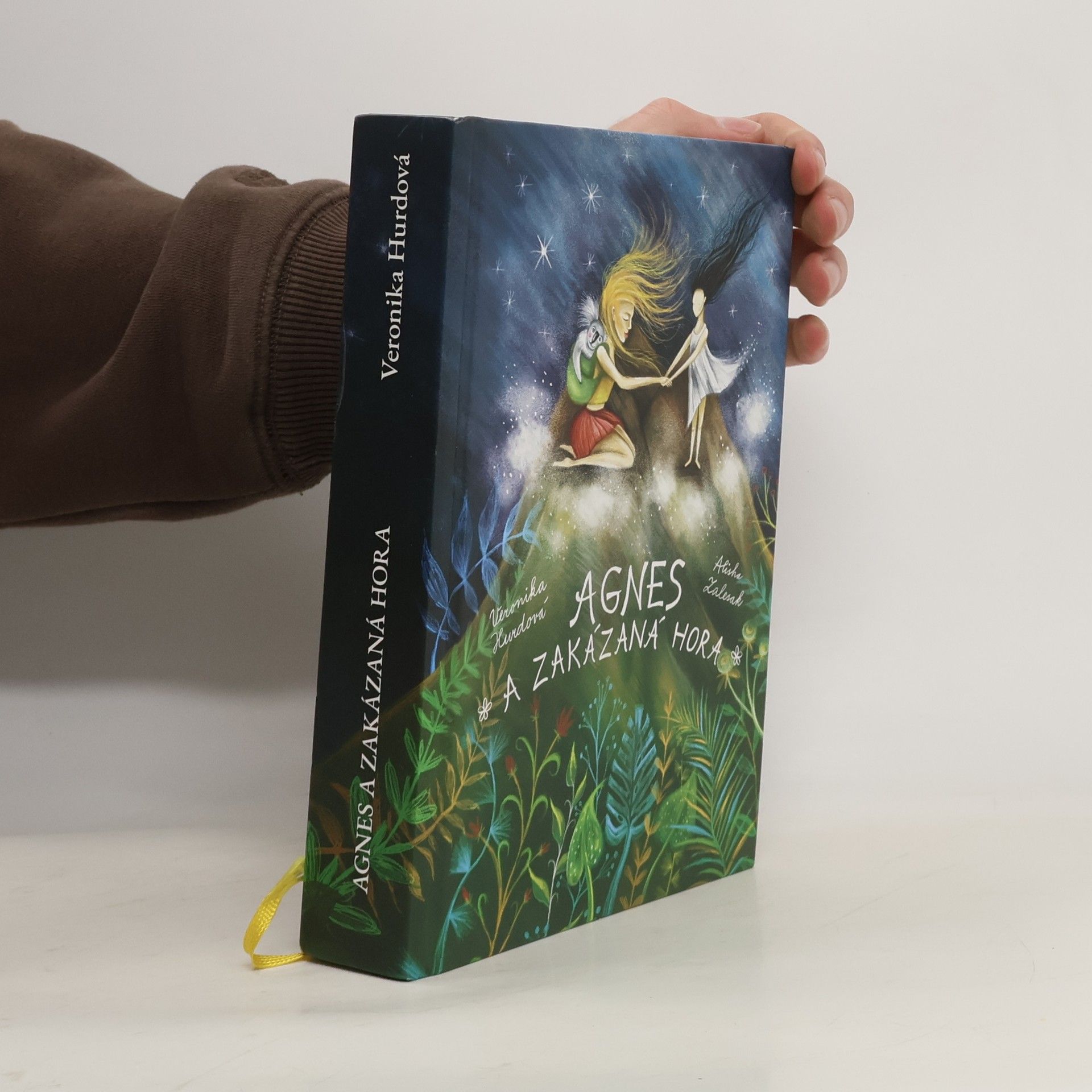 Agnes a Zakázaná hora