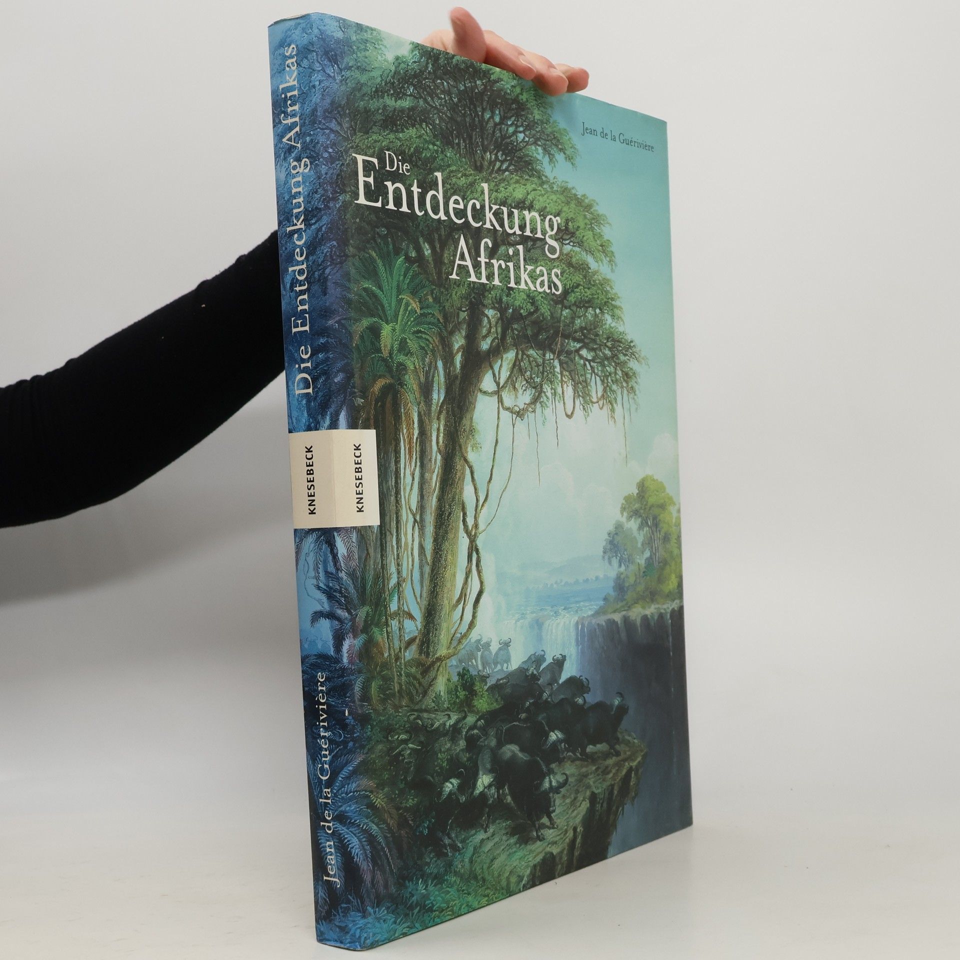 Jean de La Guérivière Die Entdeckung Afrikas