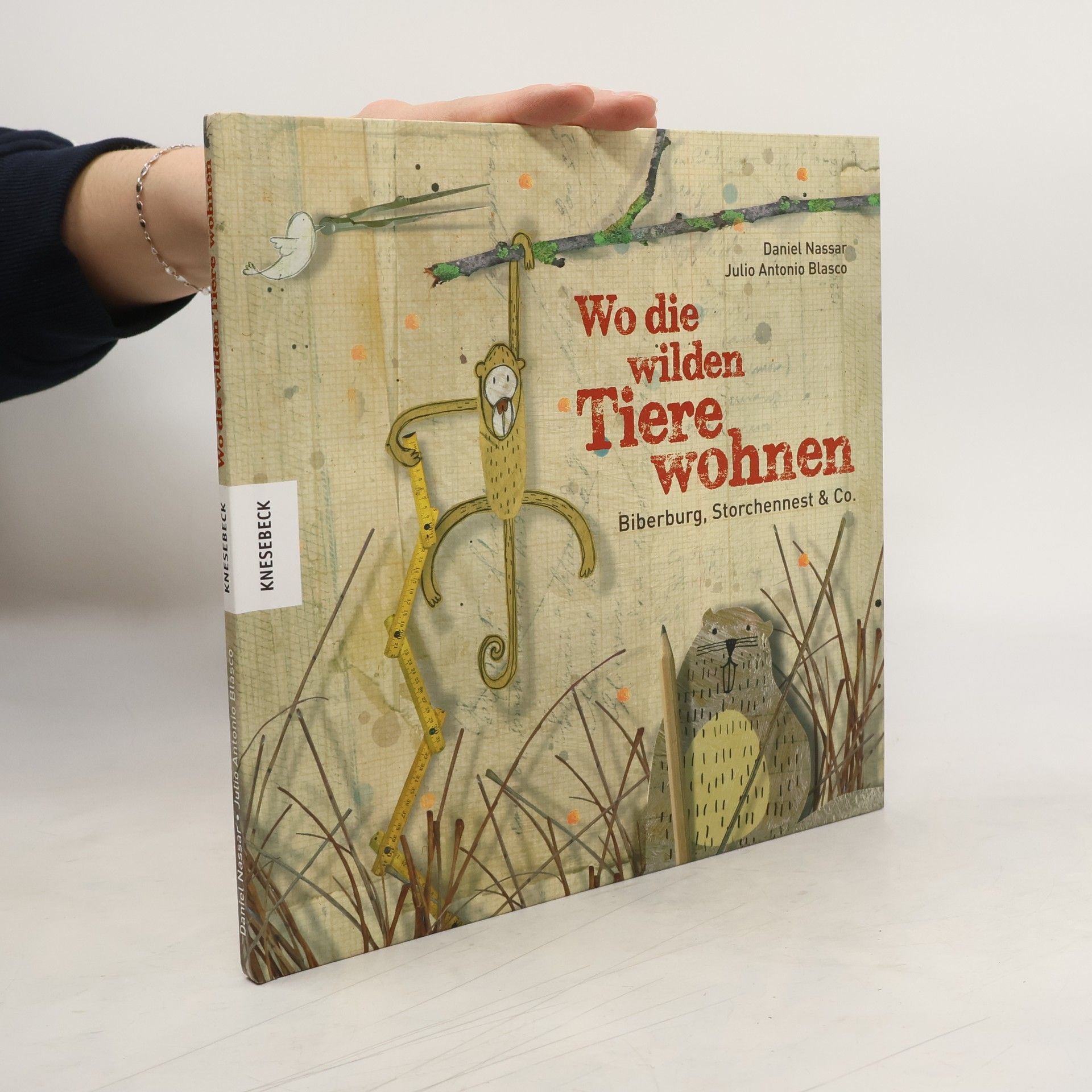 Daniel Nassar Wo die wilden Tiere wohnen