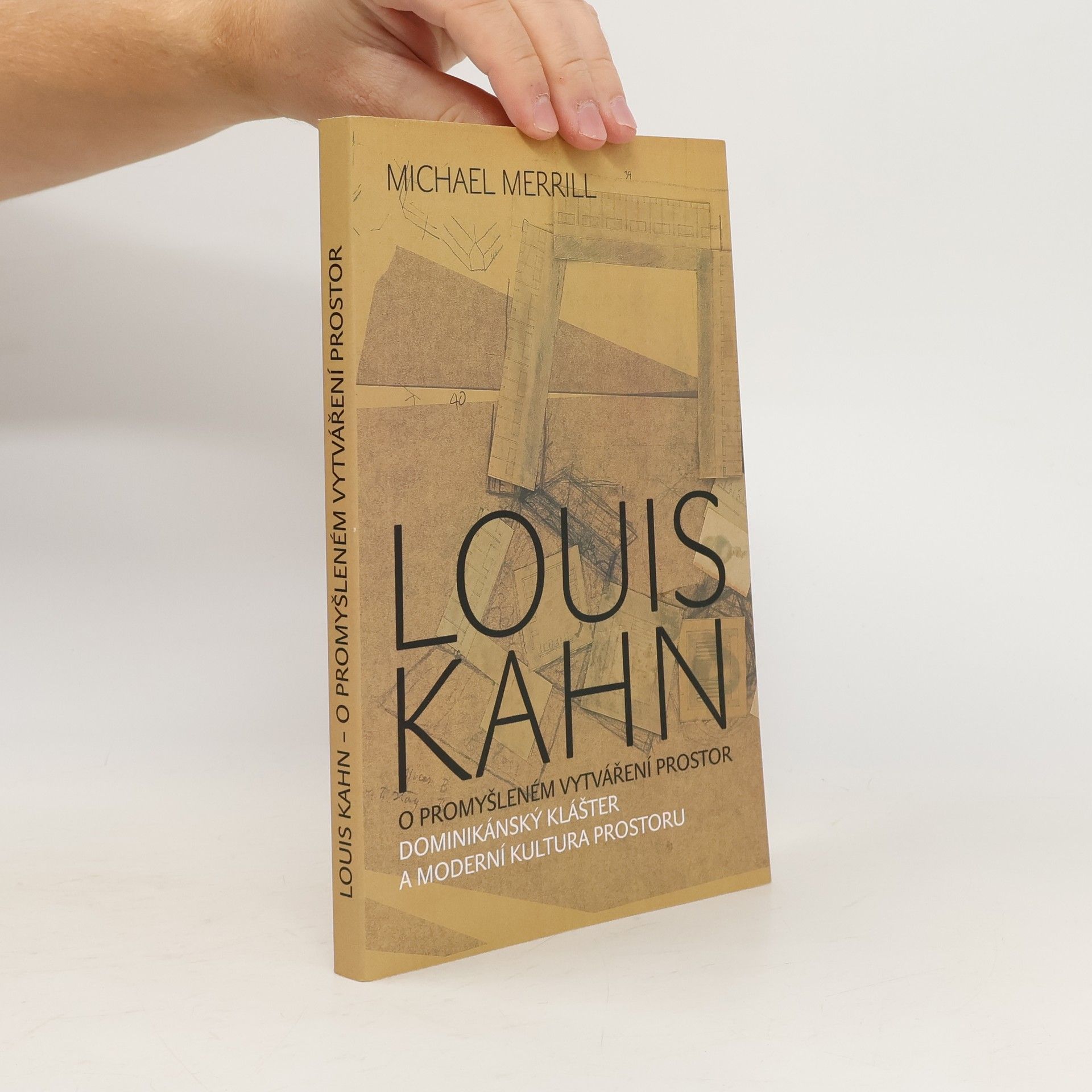 Michael Merrill Louis Kahn