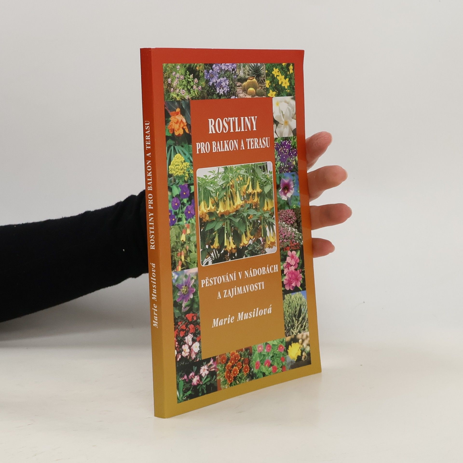 Rostliny pro balkon a terasu